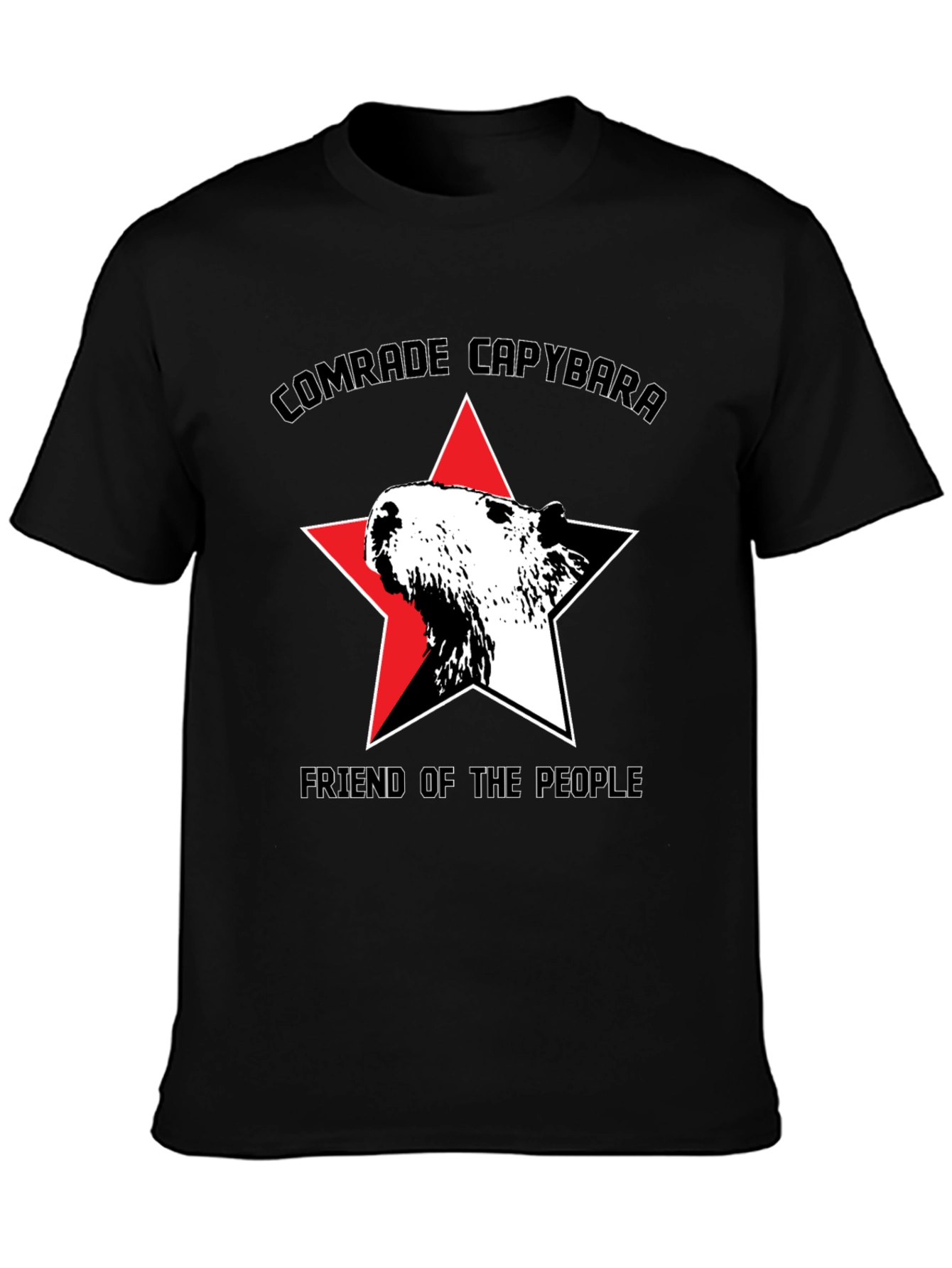 Black Comrade Capybara T-Shirt - Friend of the People view 3