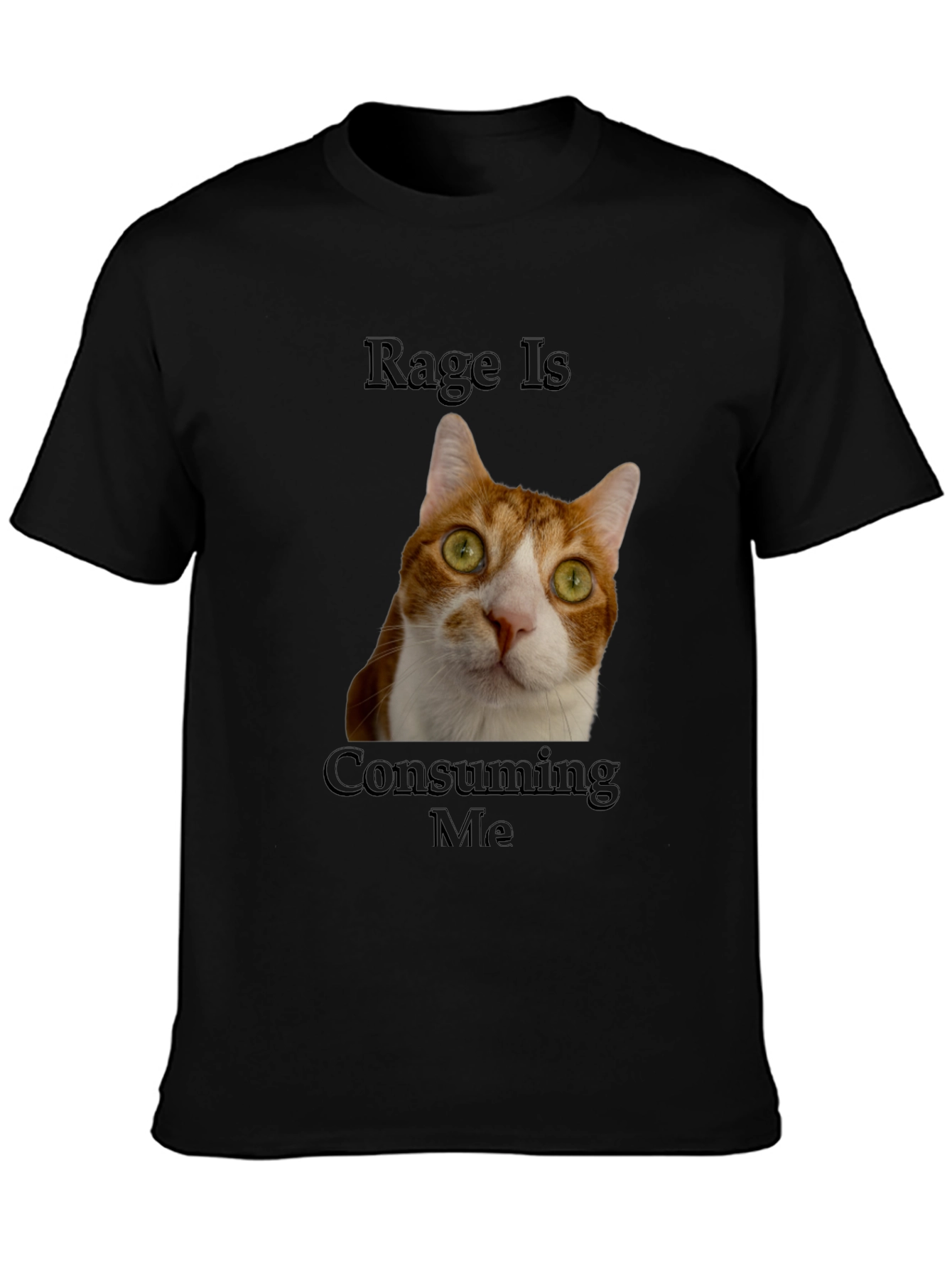 Black Rage Is Consuming Me Cat T-Shirt - Funny Graphic Tee view 3
