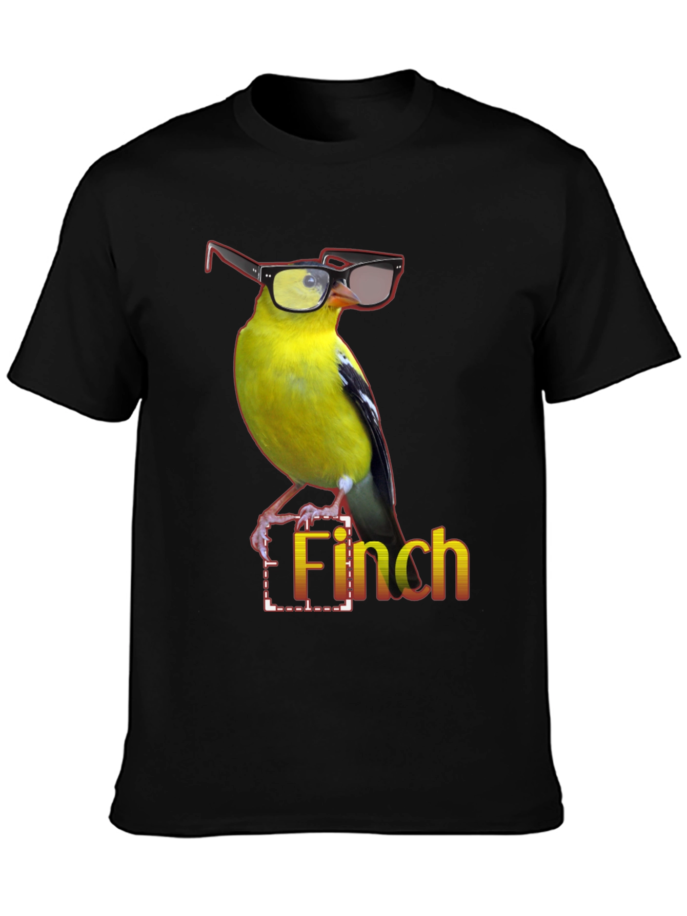 Black Stylish Finch Graphic Tee view 3