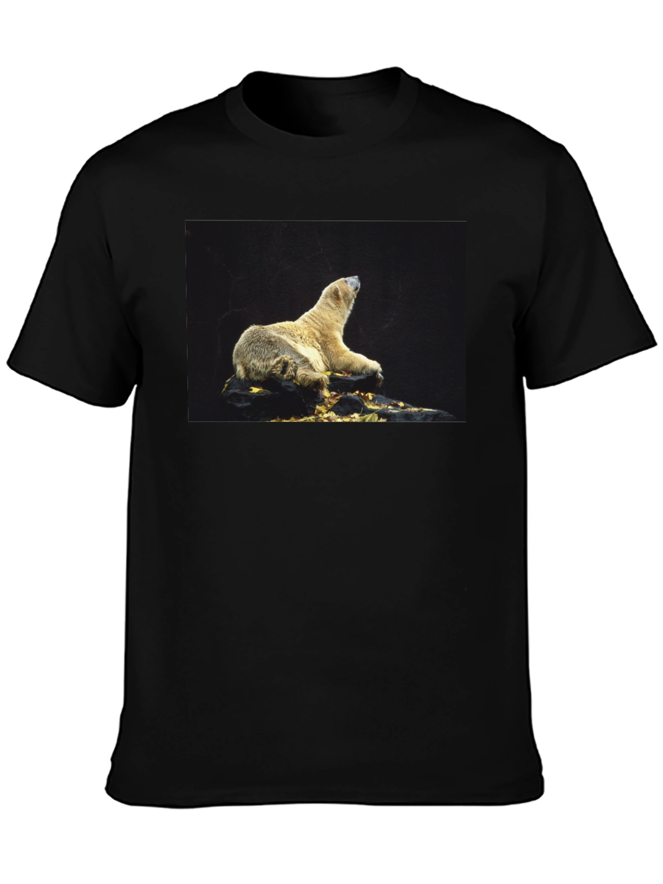 Black Polar Bear Graphic Black T-Shirt view 3