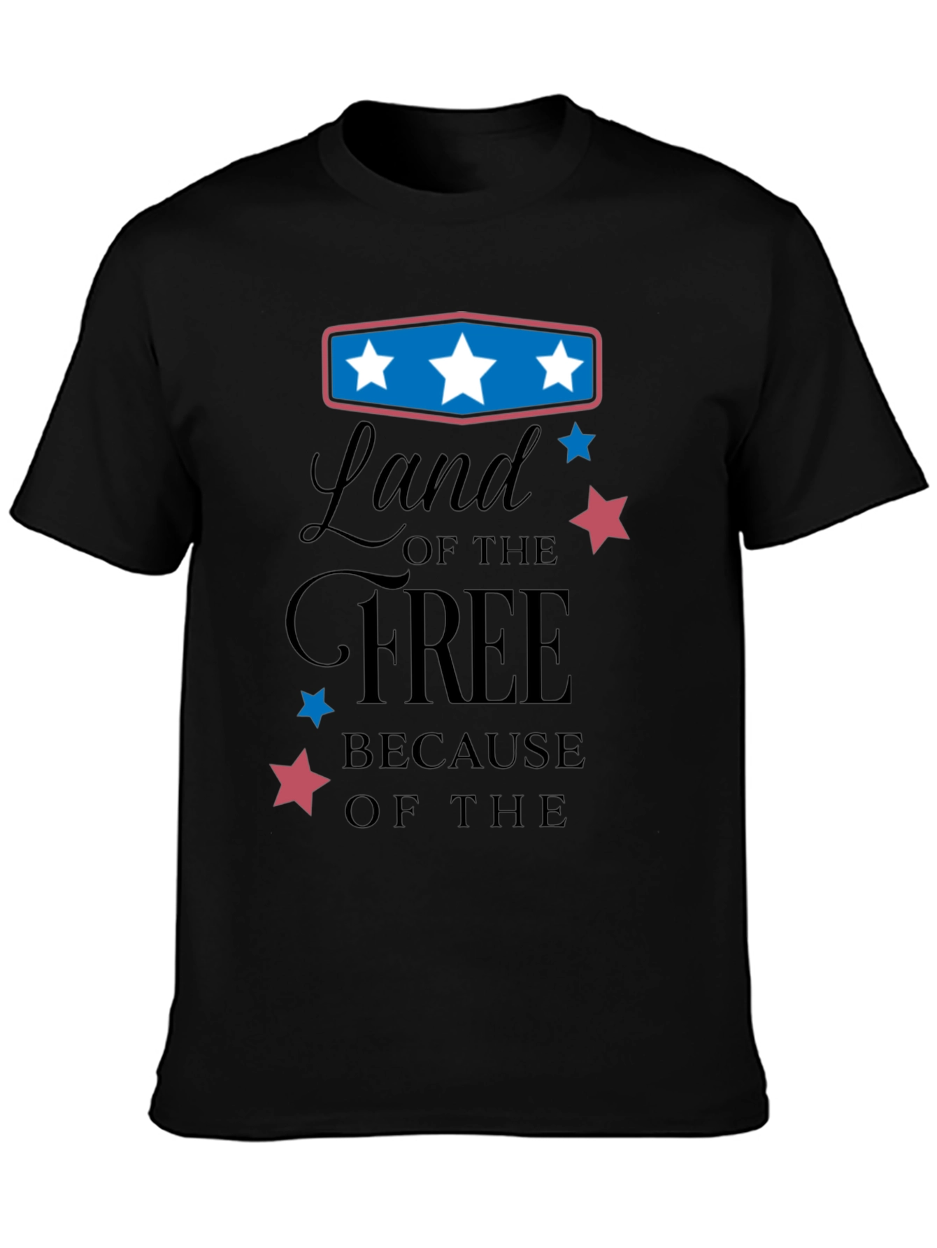 Black Land of the Free Graphic Tee view 3