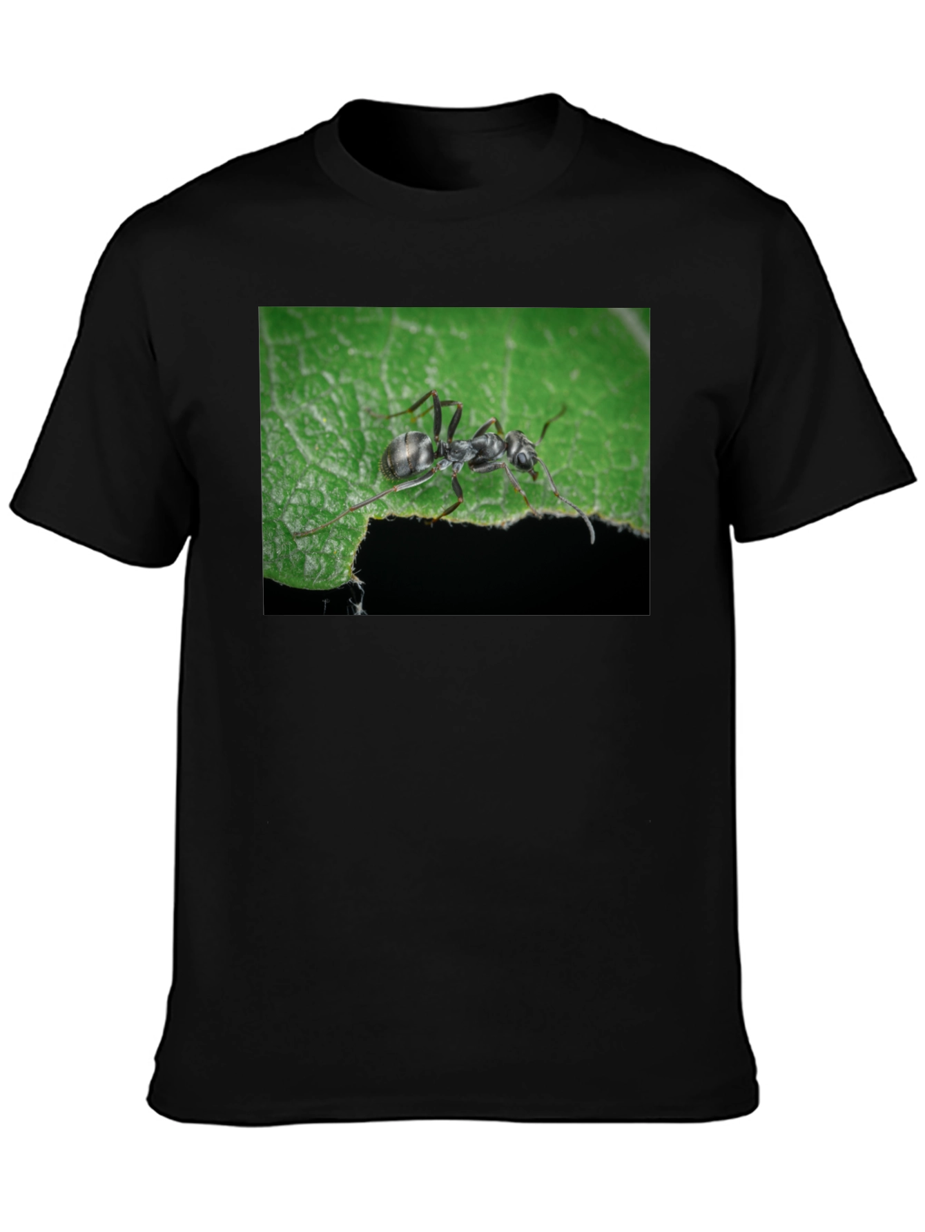 Black Ant on Leaf Graphic Tee - Nature Lover's T-Shirt view 3