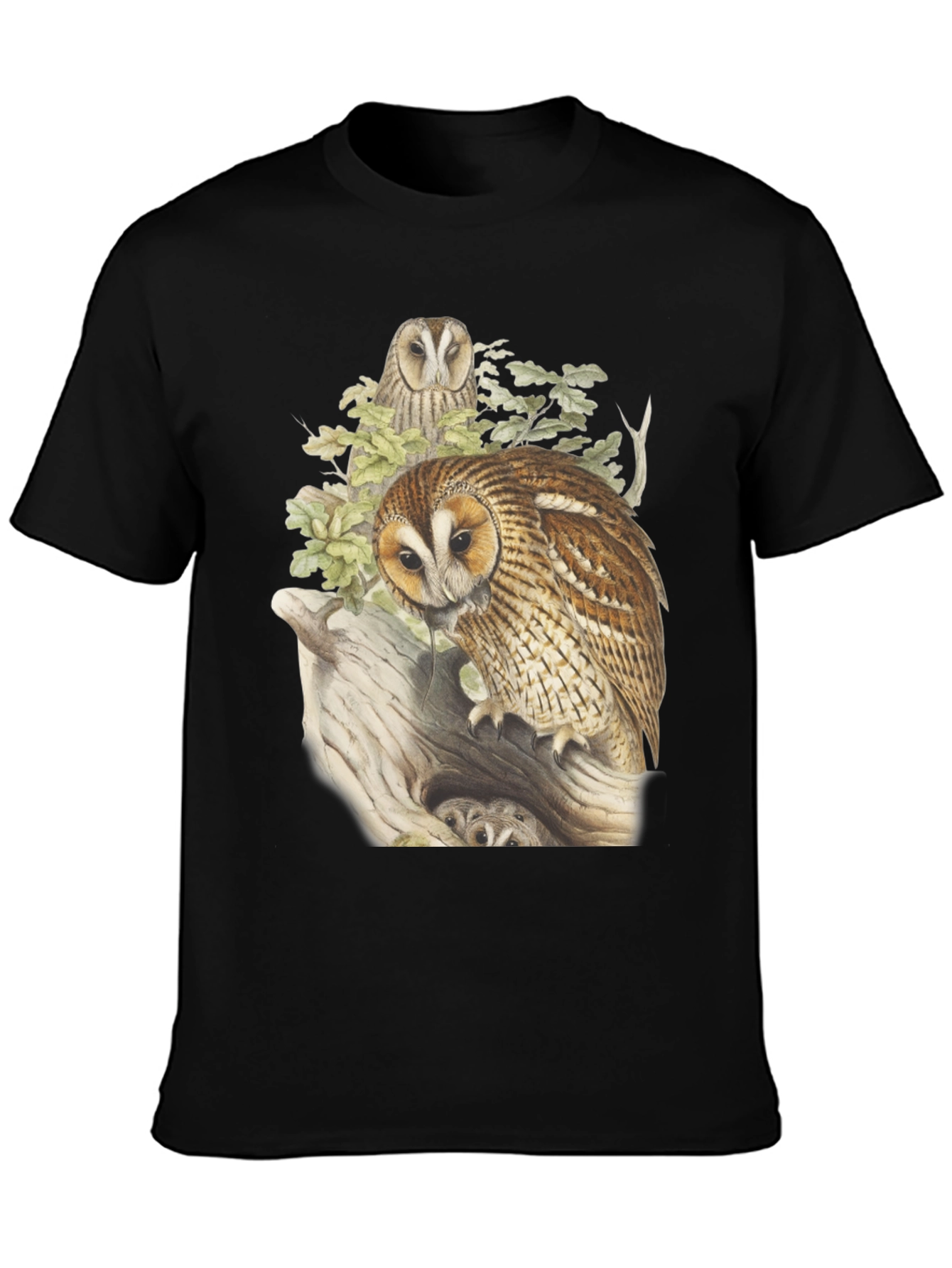Black Owl Graphic Tee - Nature Inspired Design view 3