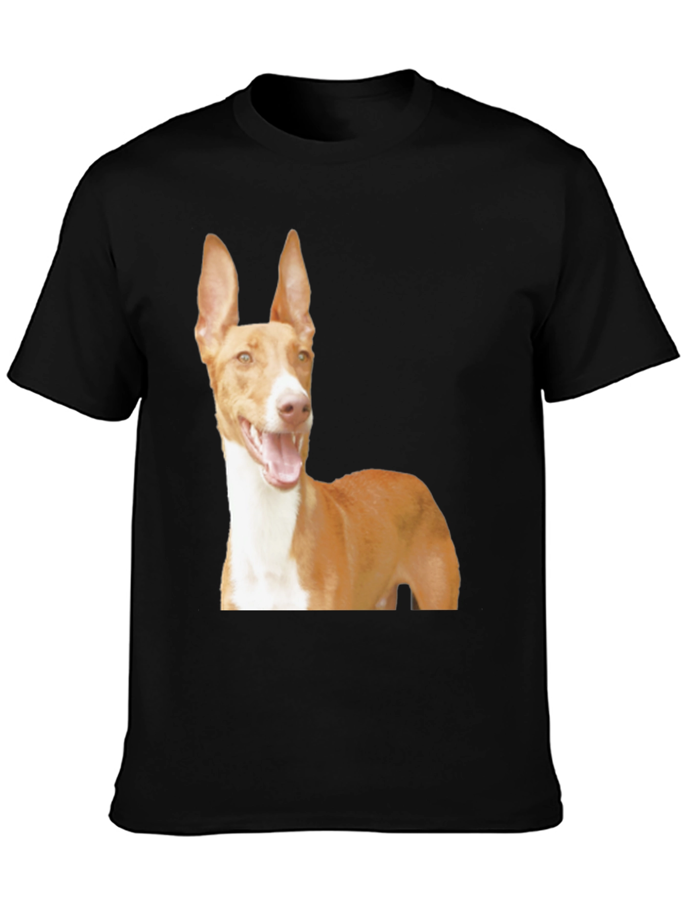 Black Dog Breed Graphic Tee - Ibizan Hound on Black Shirt view 3