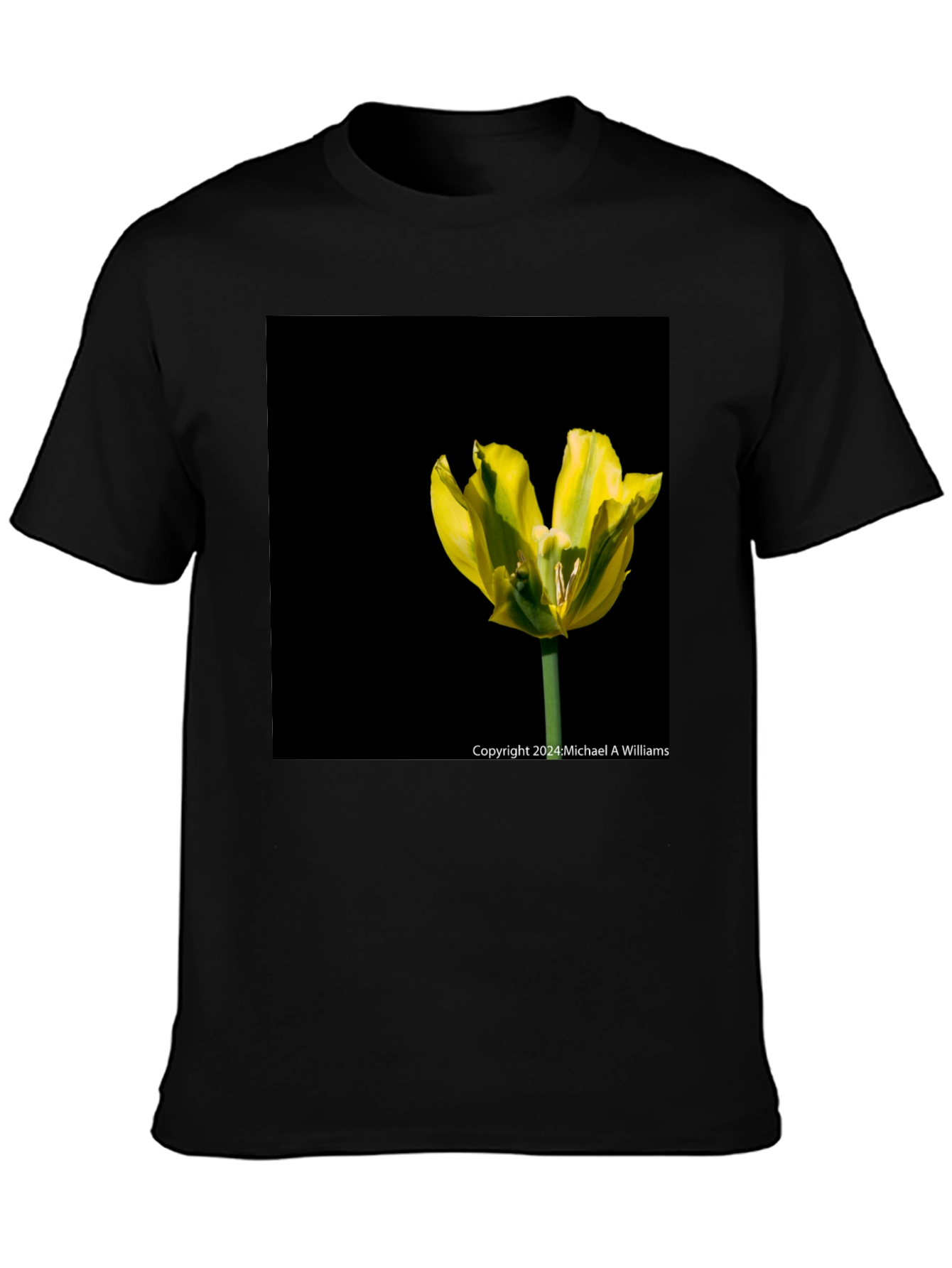 Floral Tulip Graphic Tee - Black T-Shirt - 3