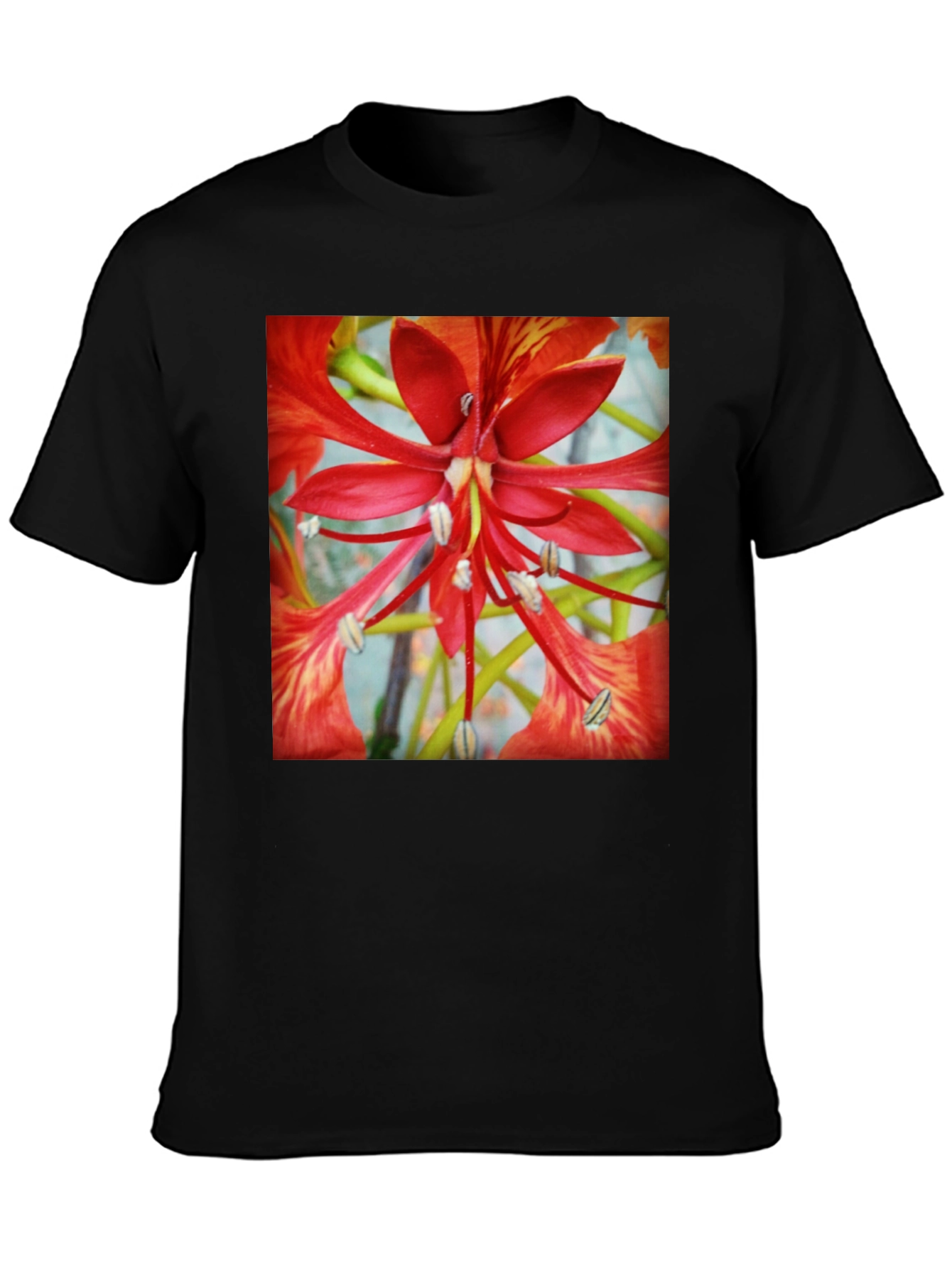 Black Bold Floral T-Shirt - Vivid Red Blossom Design view 3