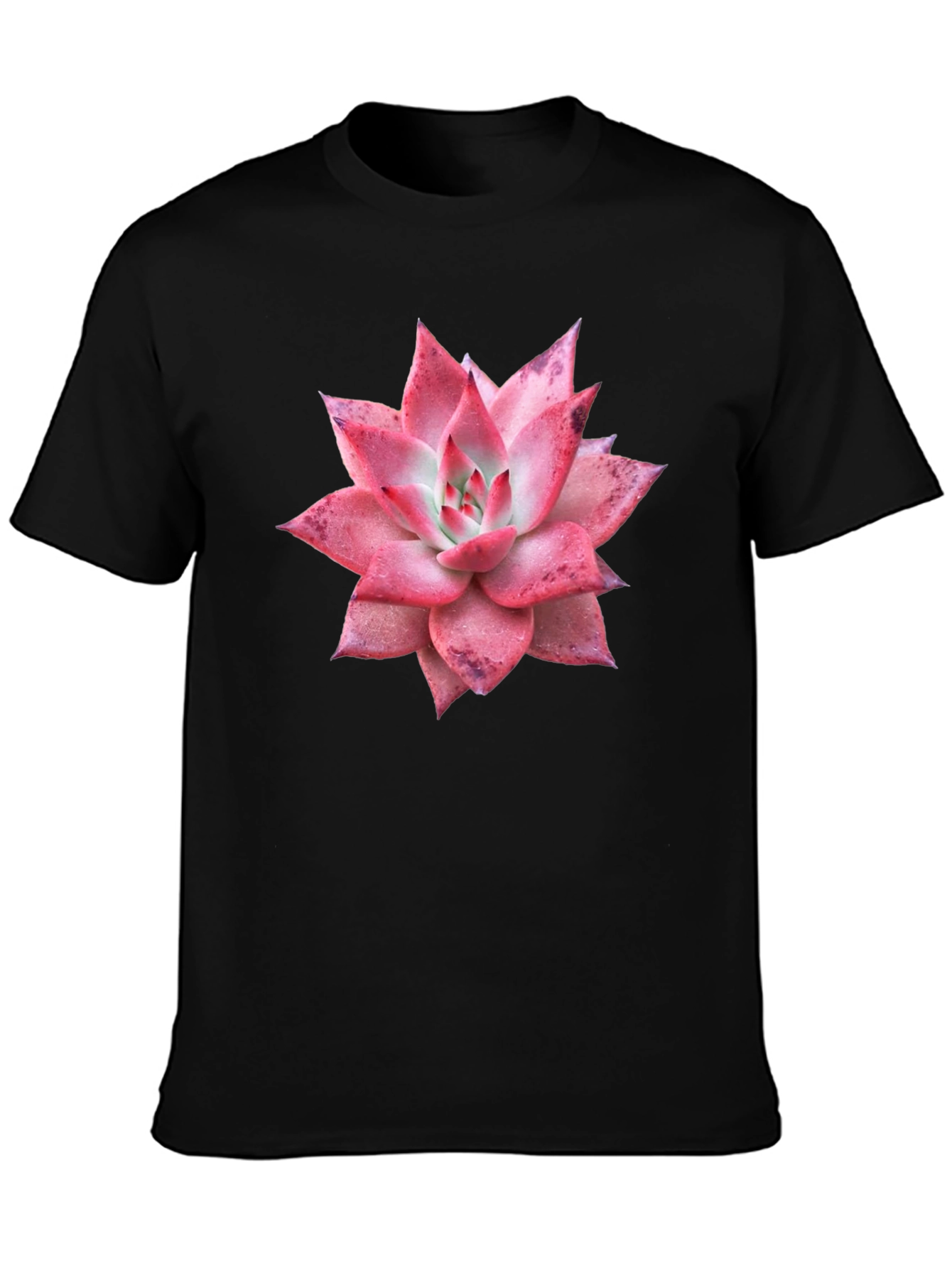 Black Succulent Graphic Tee - Black Cotton T-Shirt view 3