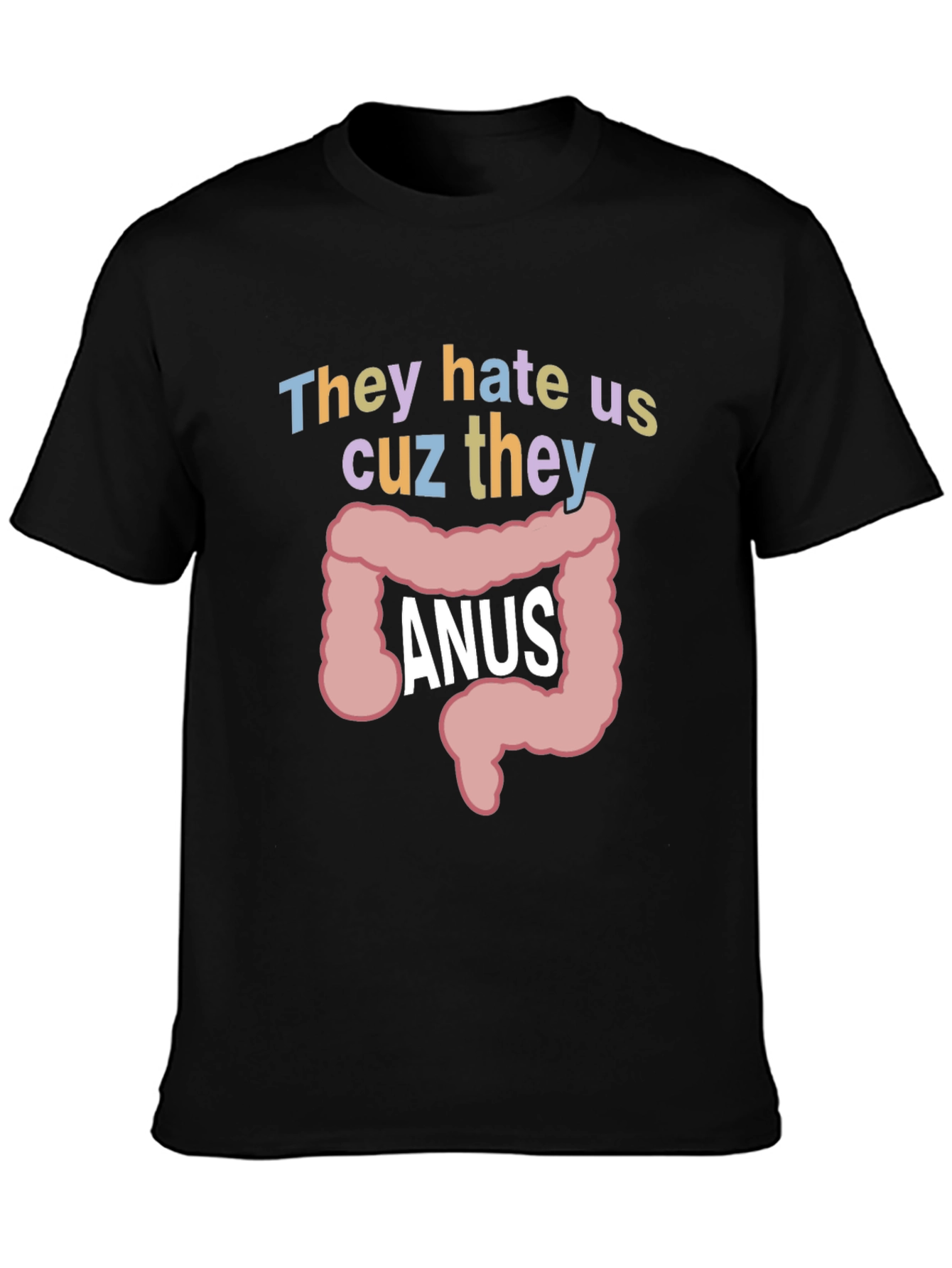 Black Anus Graphic T-Shirt: They Hate Us Funny Tee view 3