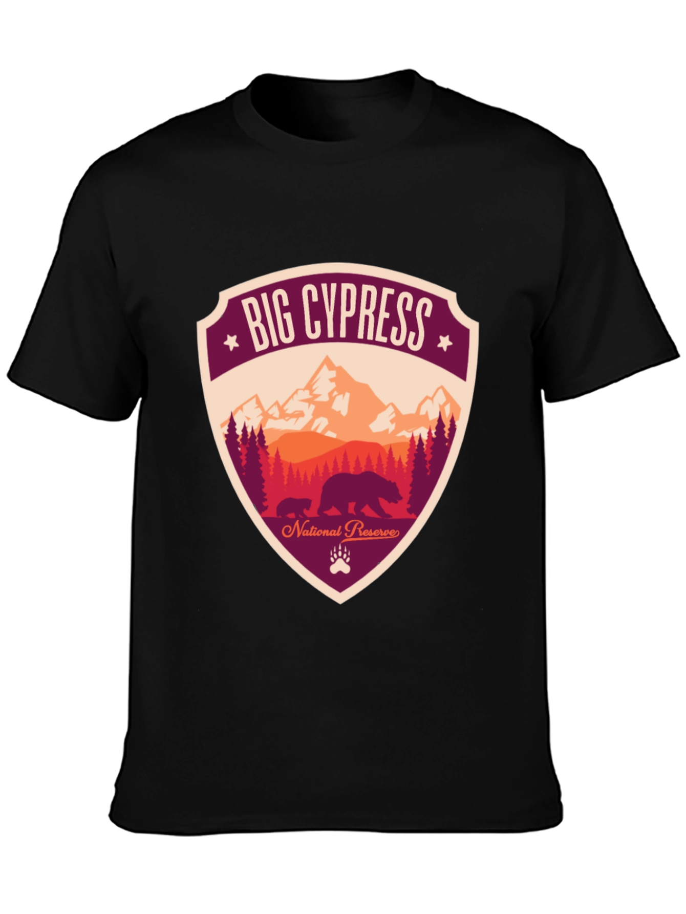 Black Big Cypress National Preserve Graphic T-Shirt view 3