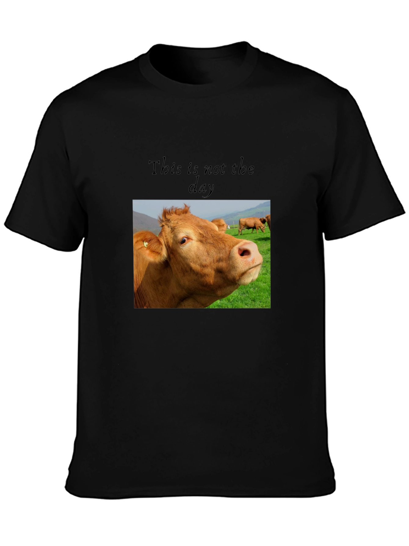 Black Cow Graphic T-Shirt - "This is not the day" view 3