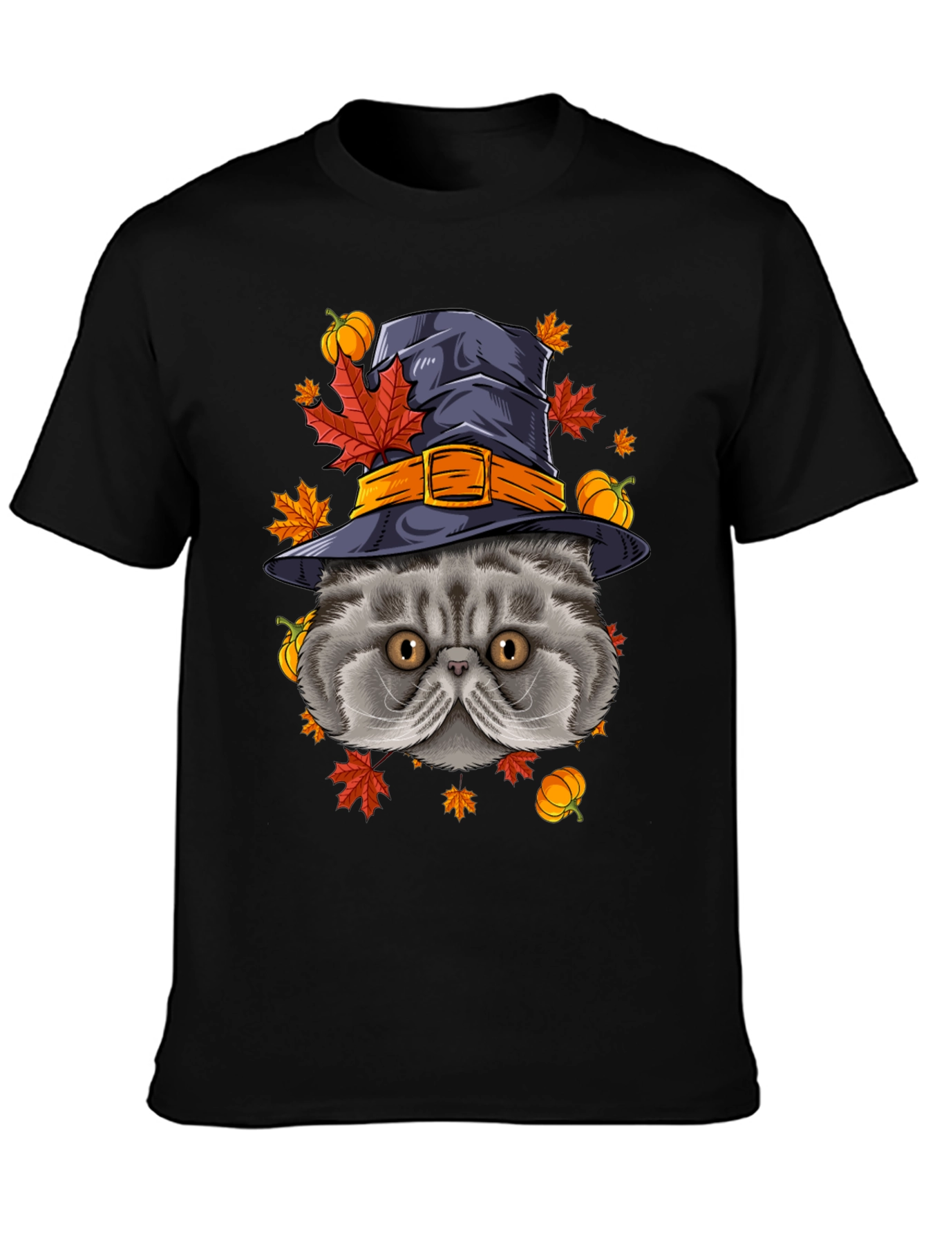 Black Halloween Cat T-Shirt with Witch Hat & Pumpkins view 3