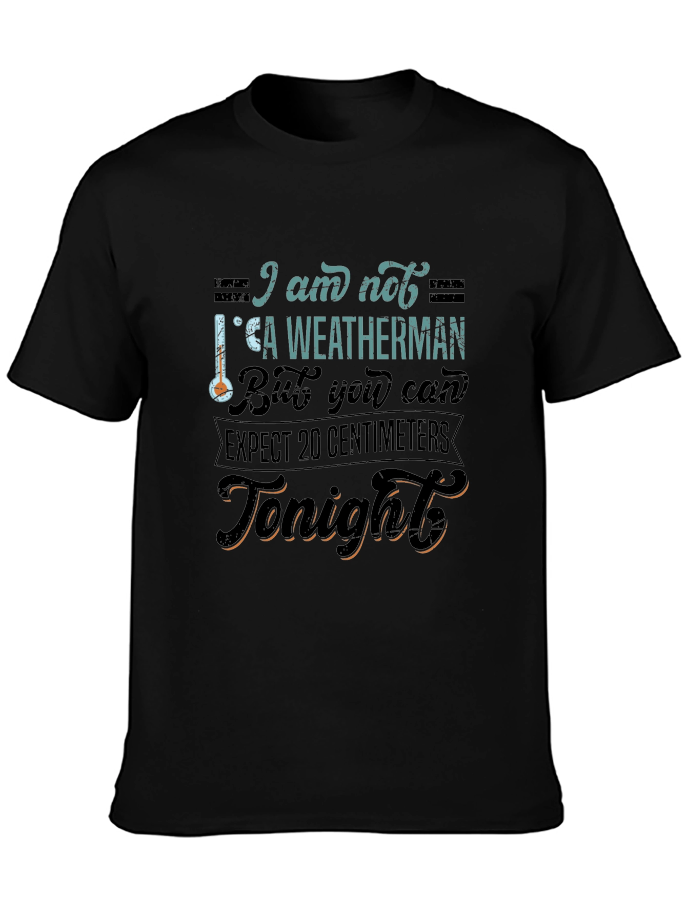 Black Funny Weatherman Graphic Tee - Expect 20 Centimeters view 3