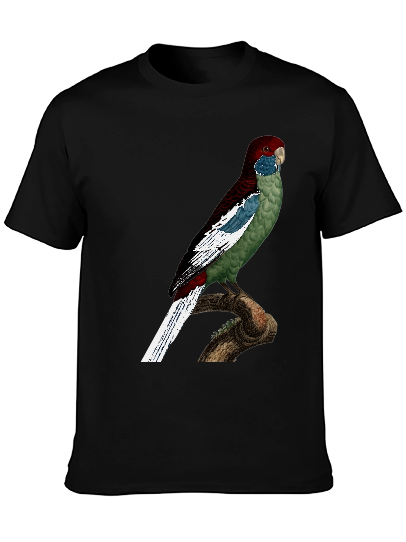 Black Parrot Graphic T-Shirt - Unique Bird Design view 3