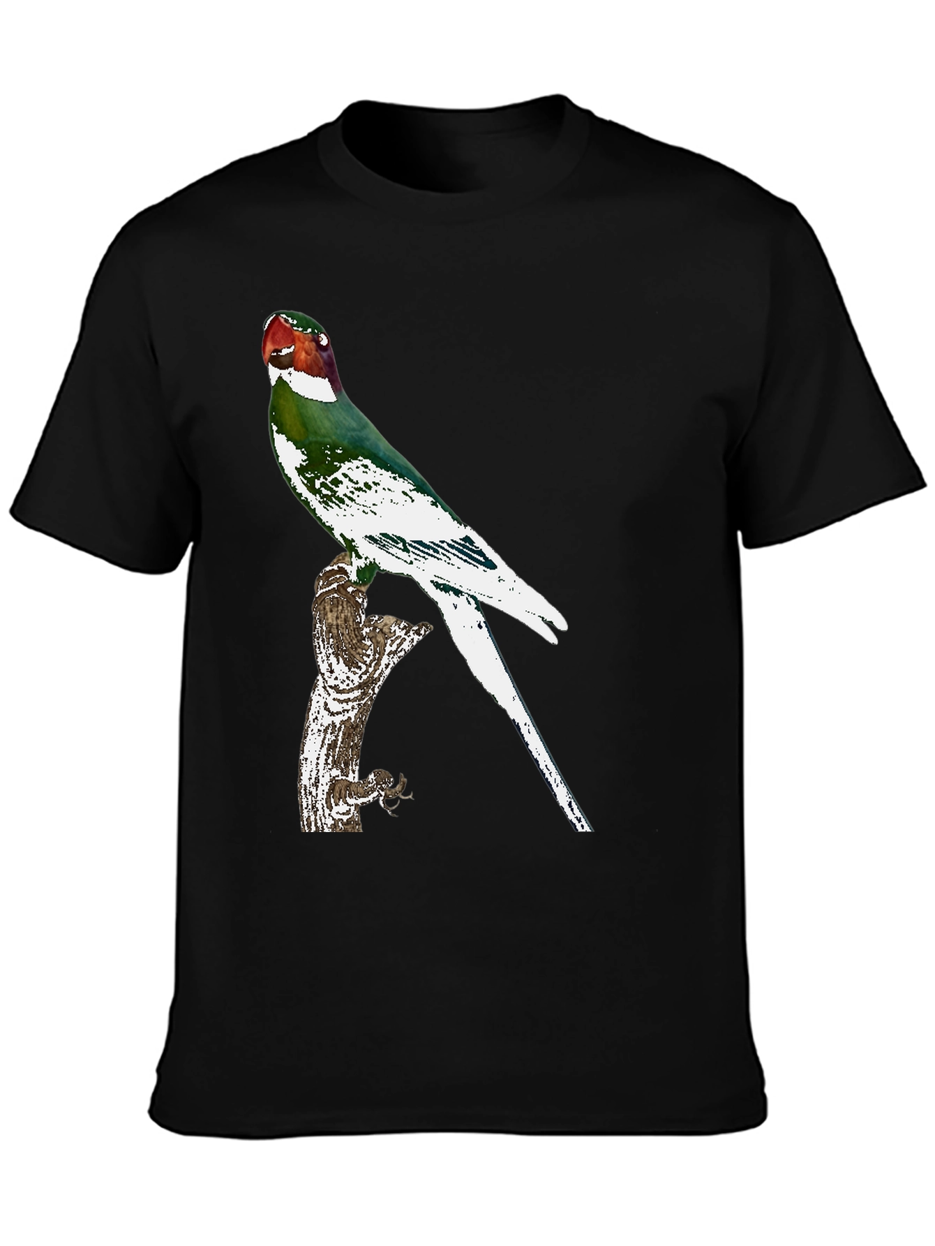 Black Parrot Graphic Tee - Black Cotton T-Shirt view 3