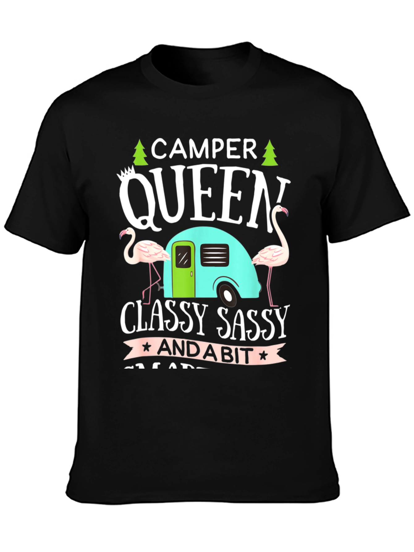 Camper Queen T-Shirt - Classy Sassy Graphic Tee - 3