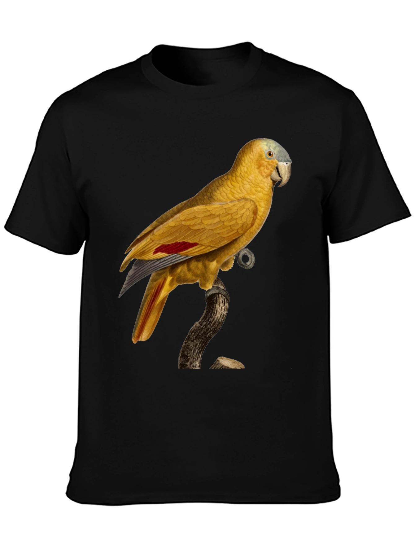 Black Parrot Graphic Black T-Shirt view 3
