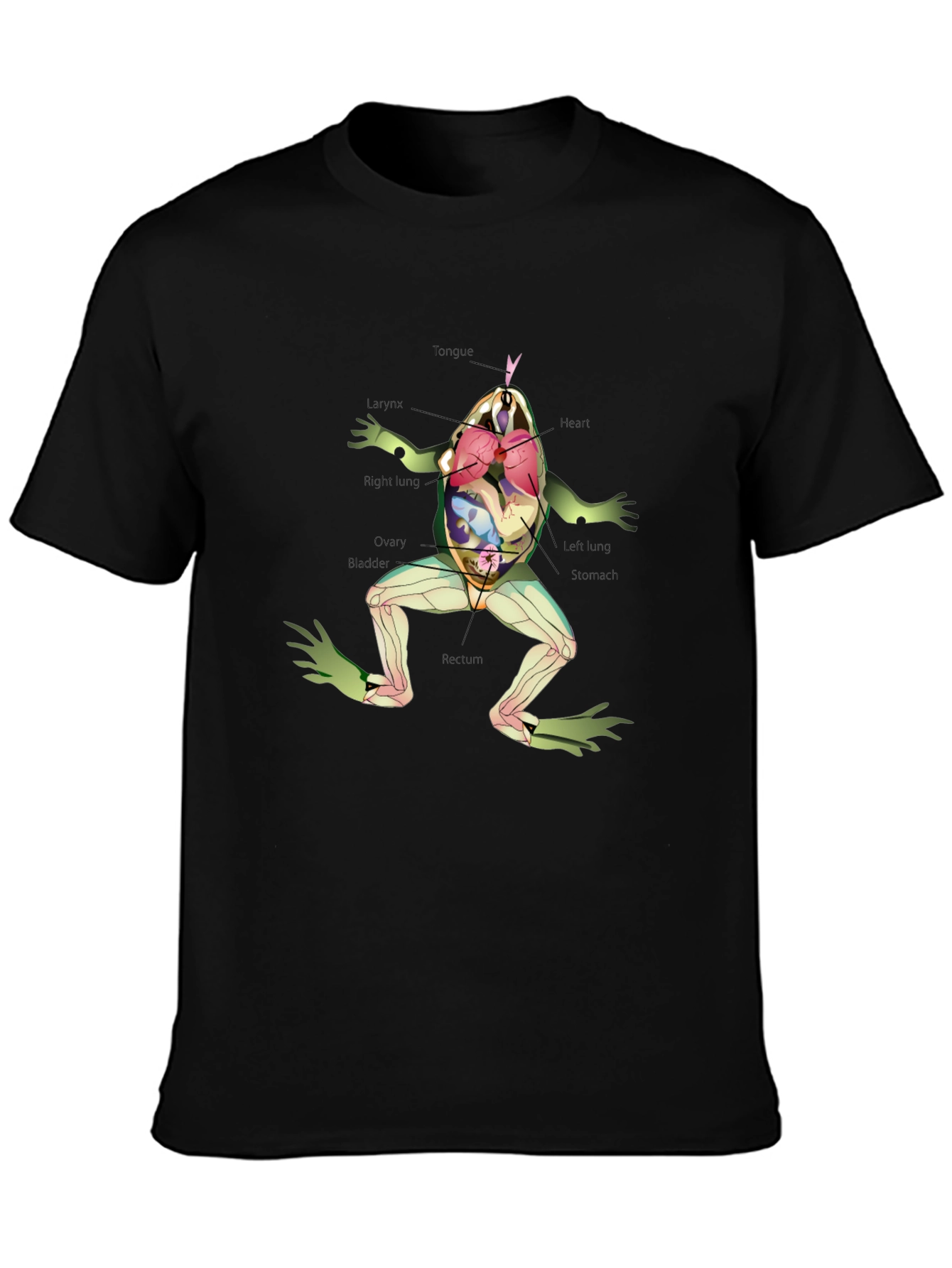Black Anatomy Frog T-Shirt view 3