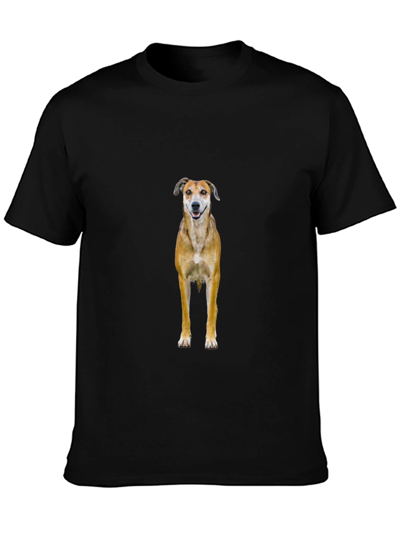 Black Dog Graphic Black T-Shirt view 3