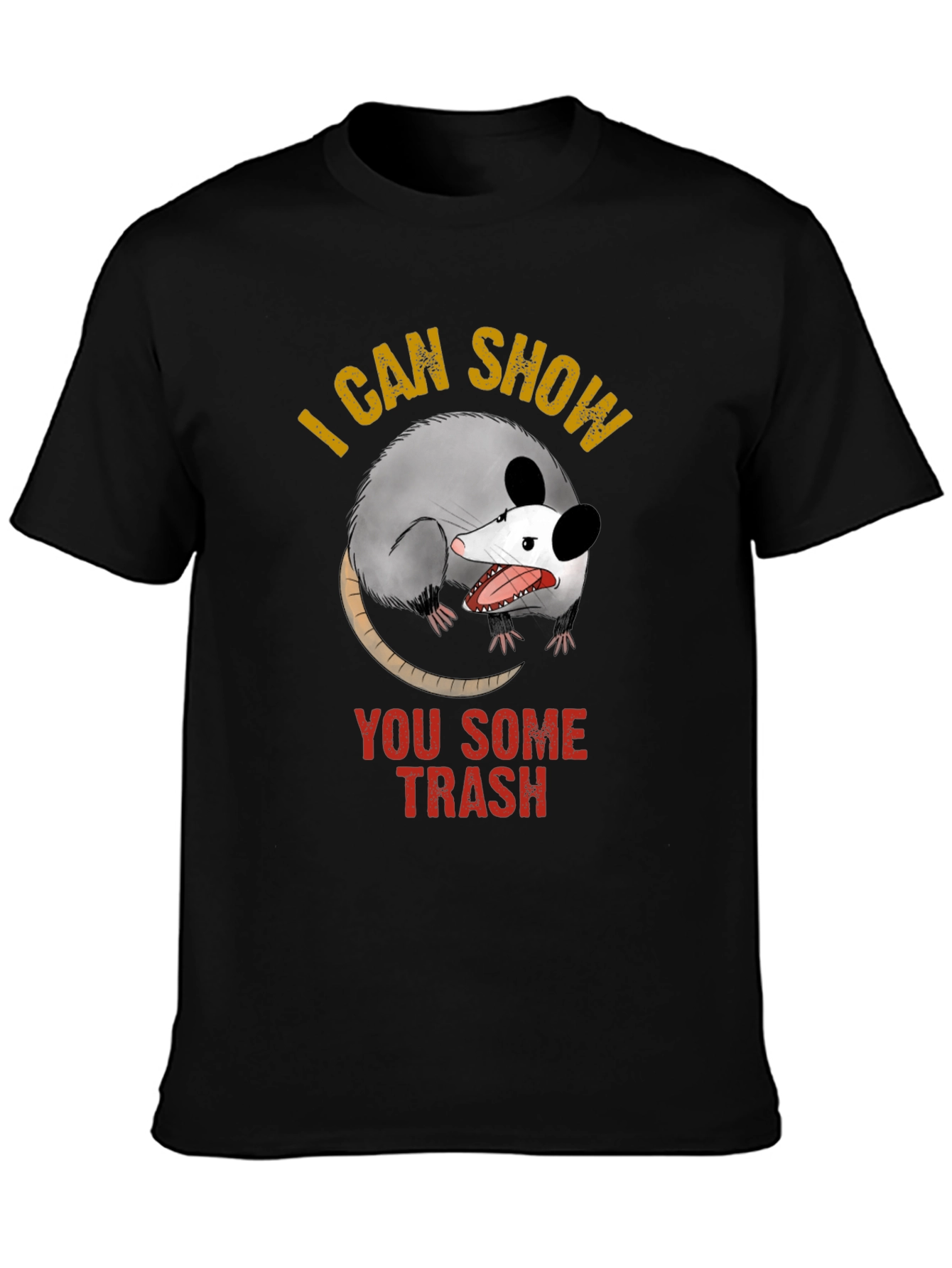 Black I Can Show You Some Trash Graphic T-Shirt view 3