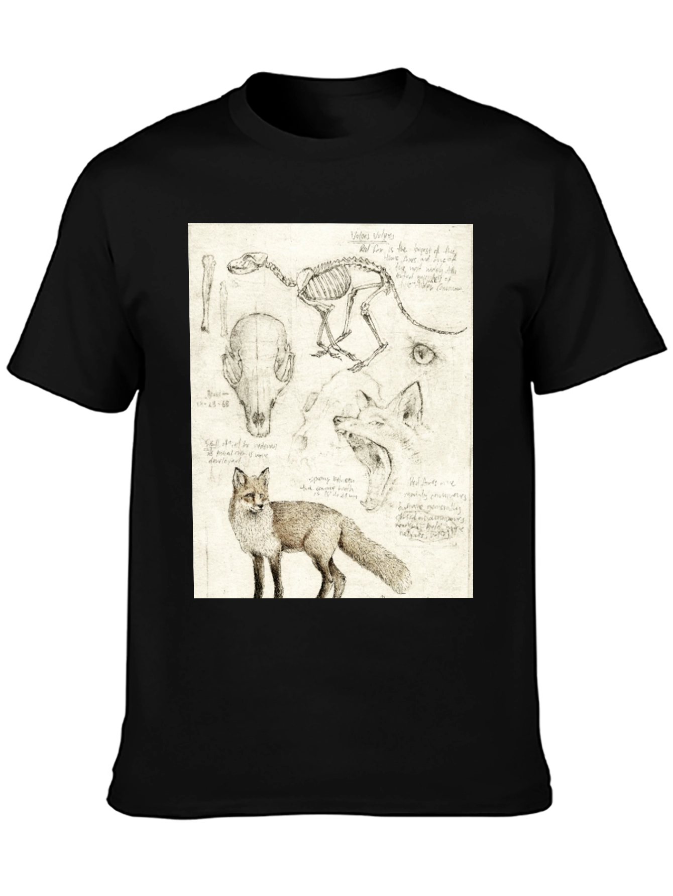 Black Anatomical Fox Print Tee - Artistic Unisex T-Shirt view 3