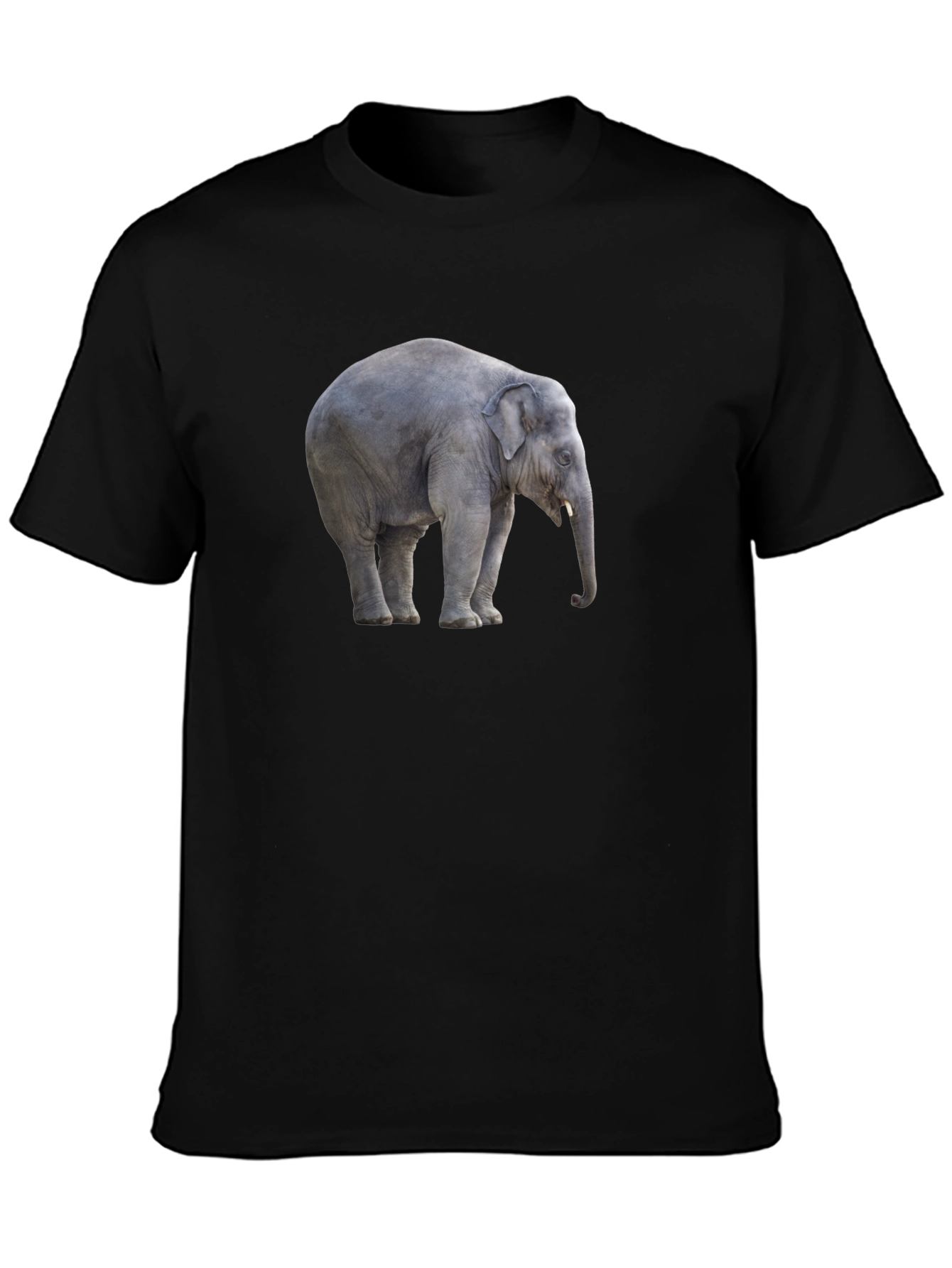 Black Elephant Graphic Tee - Stylish Black Cotton T-Shirt view 3