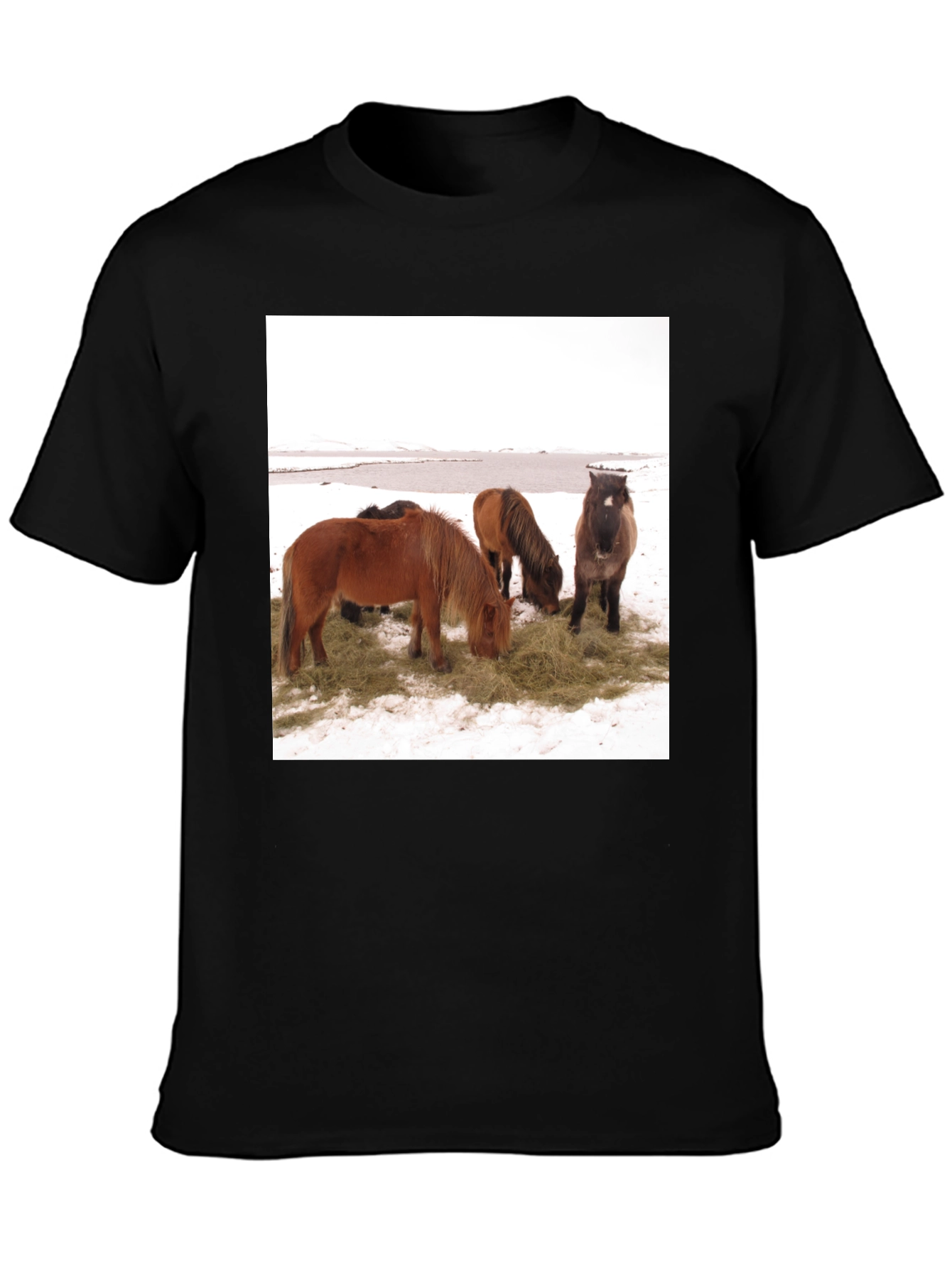 Black Horse Scene Graphic Tee - Unisex Black T-Shirt view 3