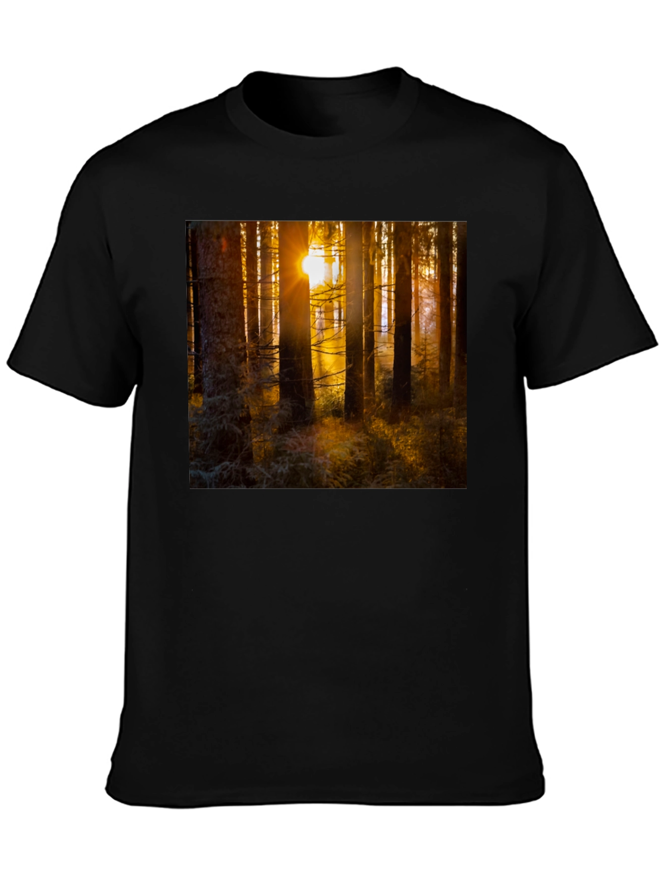 Black Forest Sun T-Shirt - Nature Inspired Apparel view 3