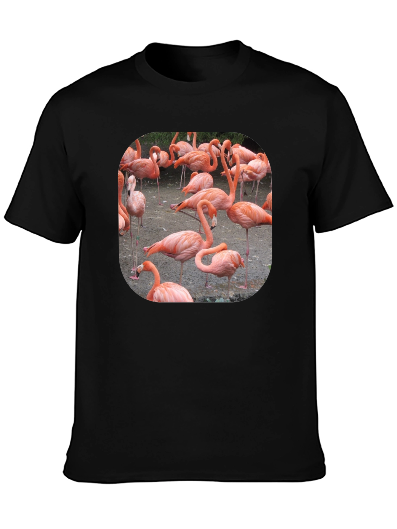 Black Flamingo Graphic Tee - Tropical Bird T-Shirt view 3