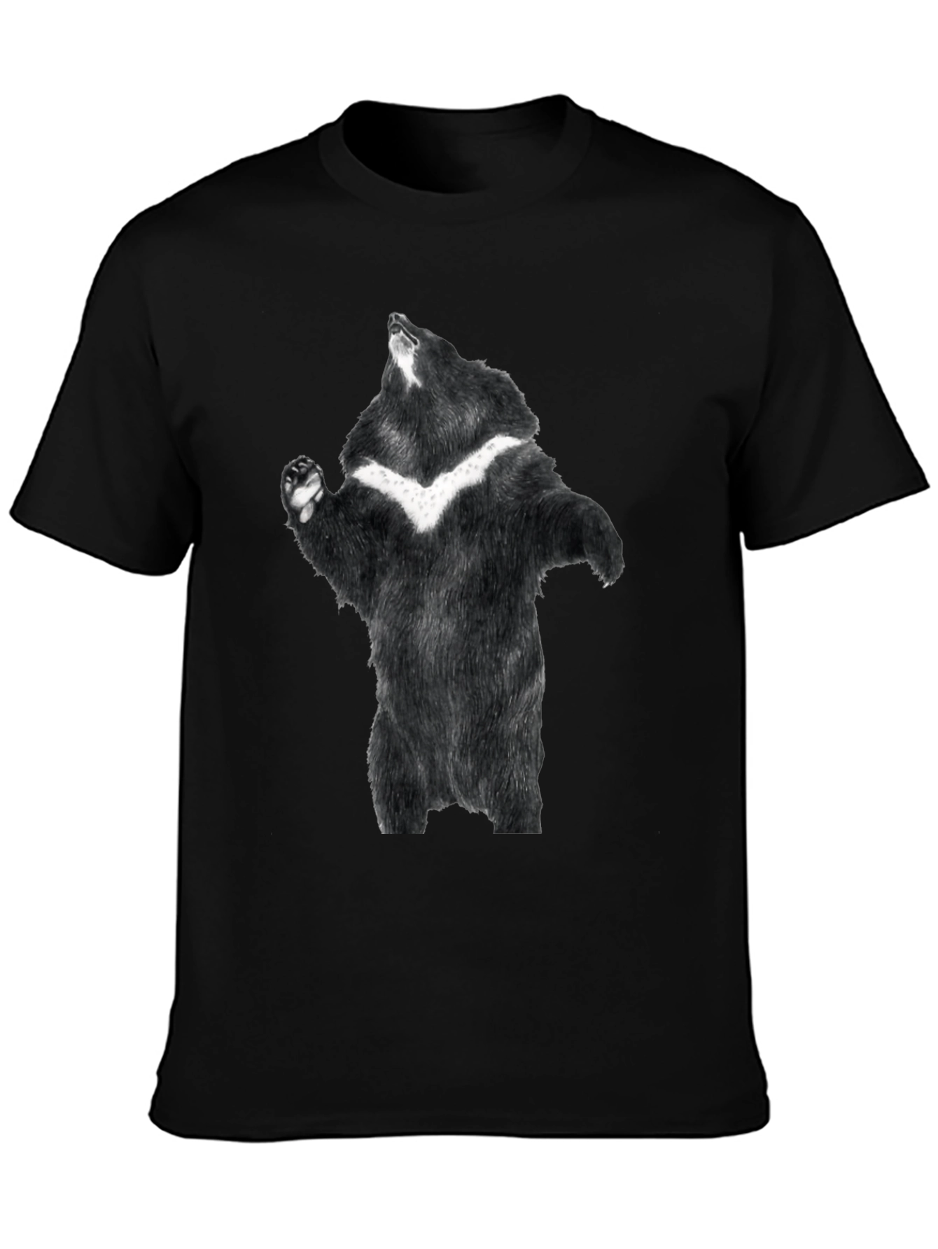 Black Black Bear Graphic Tee - Men's Short Sleeve Shirt view 3