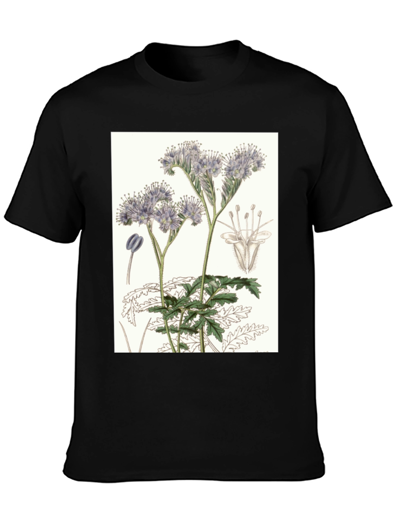 Black Botanical Flower T-Shirt view 3