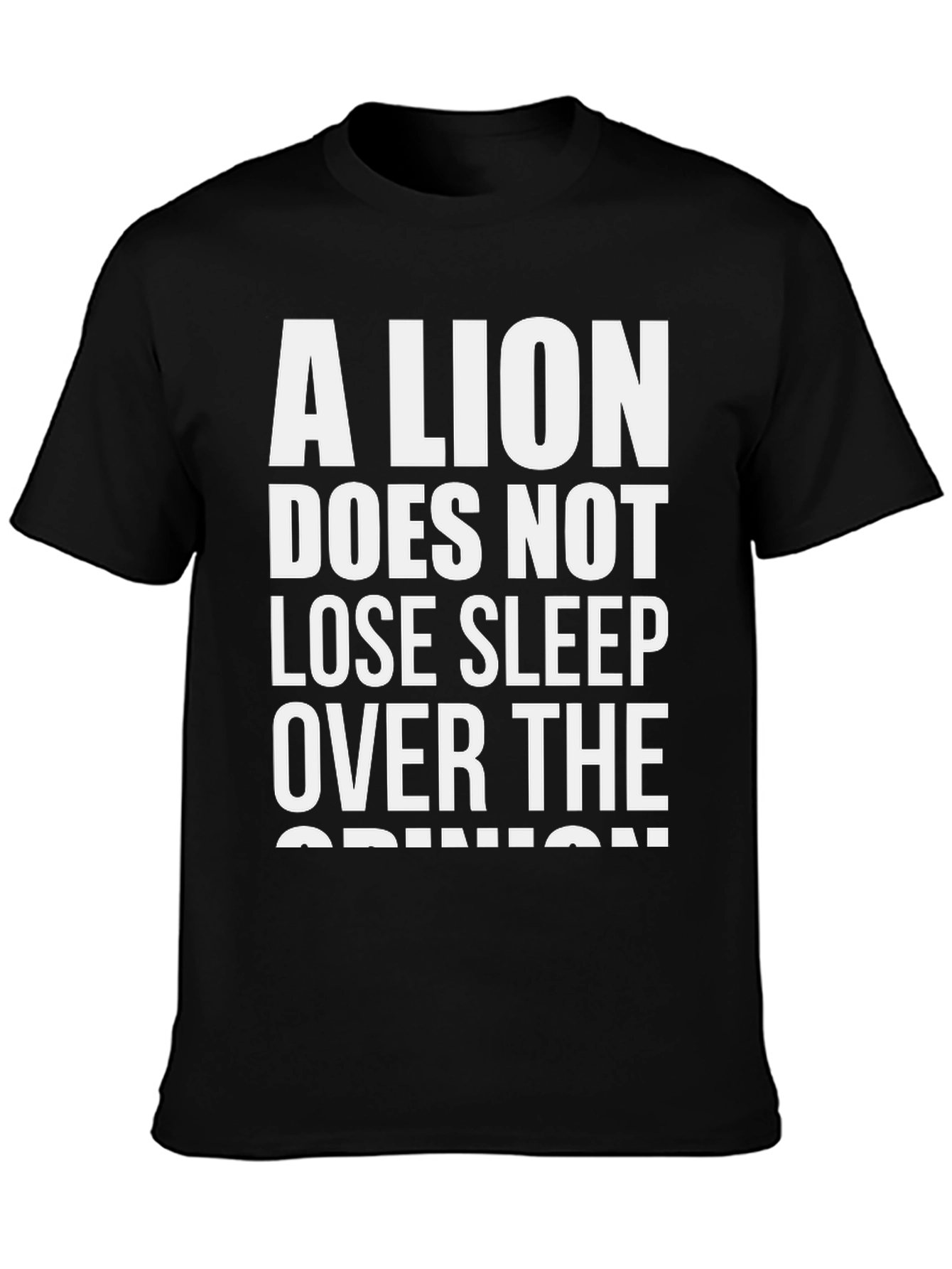 Black A Lion Doesn't Lose Sleep T-Shirt view 3