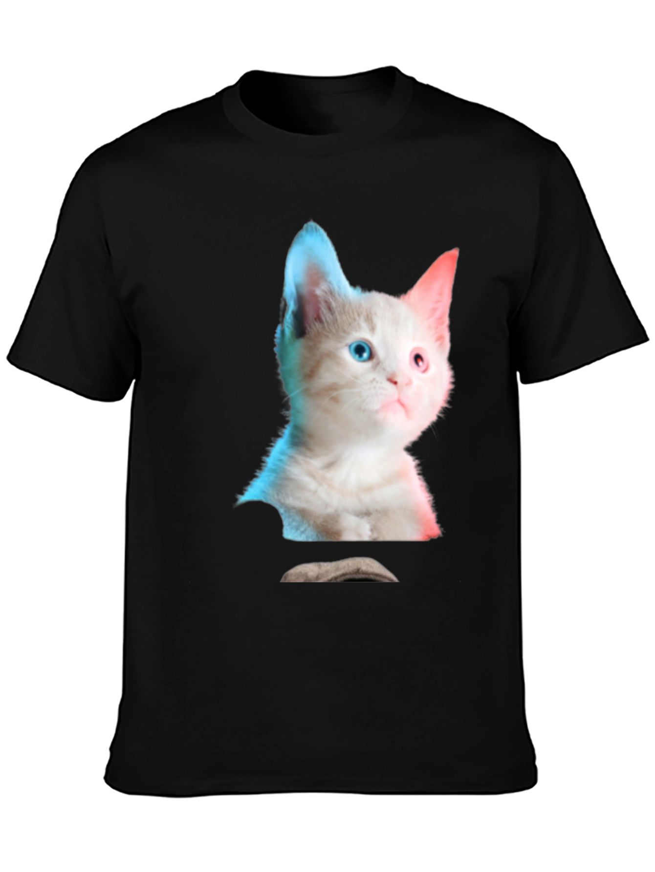 Black Kitten Graphic Tee - Cute Cat Shirt view 3