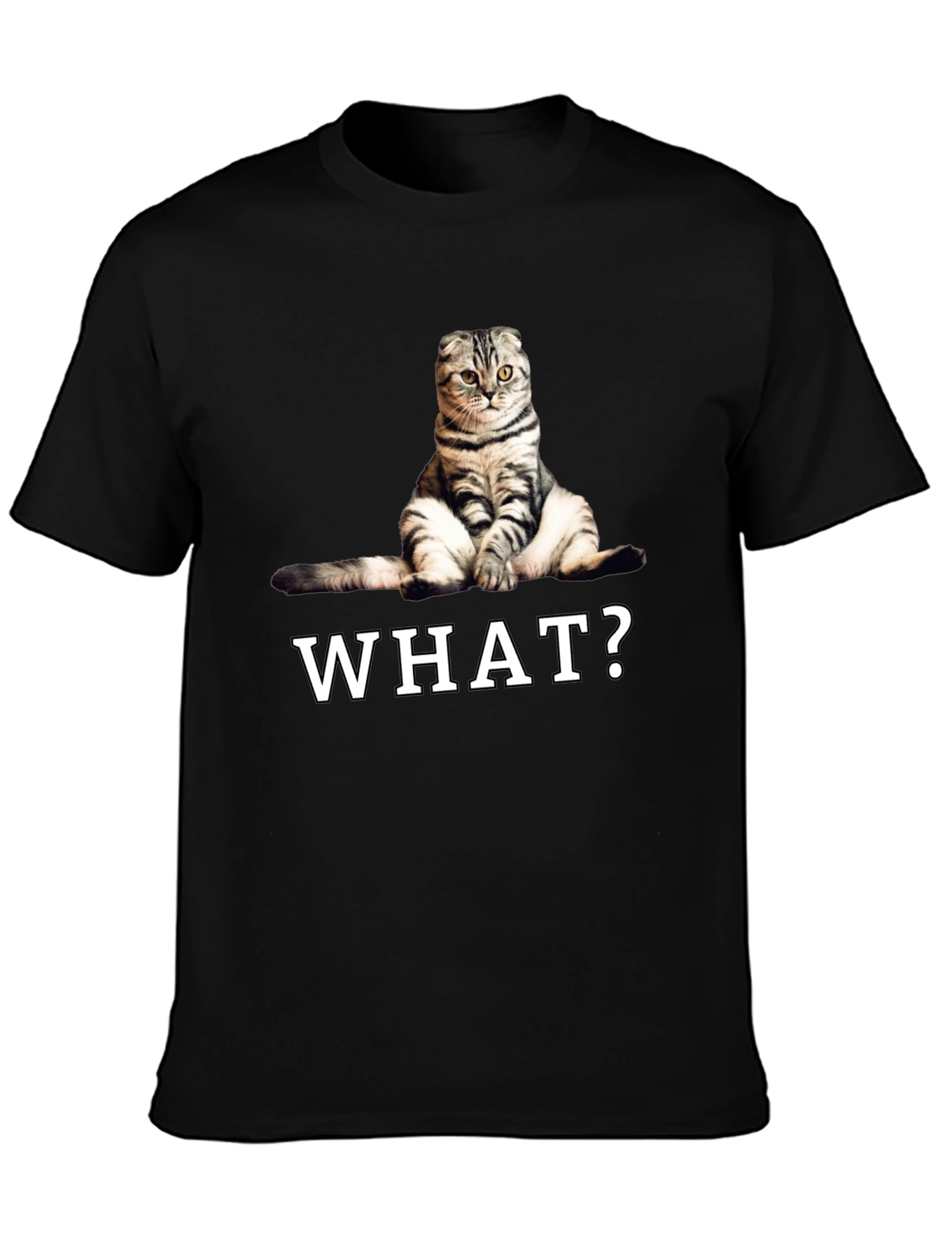 Black Funny Cat "What?" Graphic T-Shirt view 3