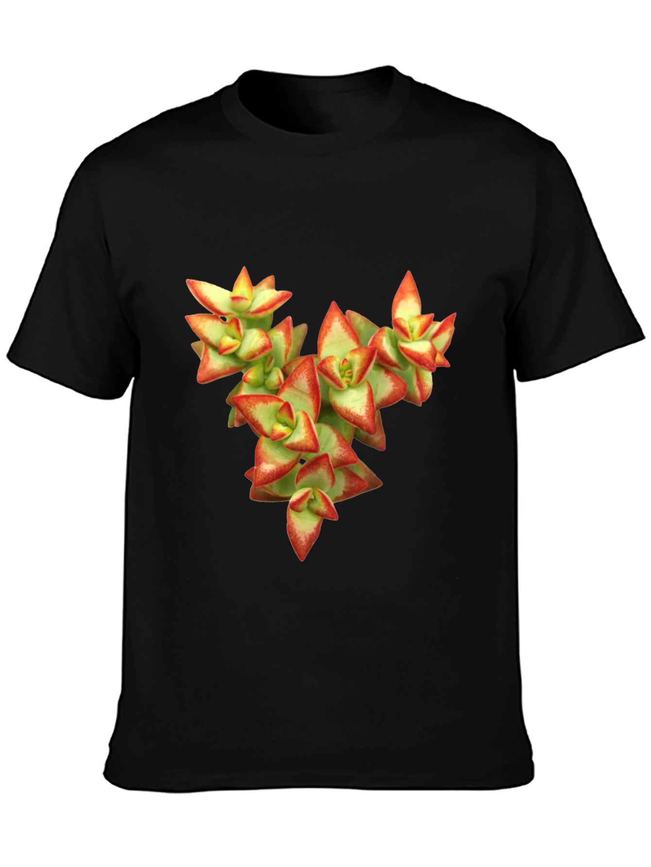 Black Succulent Graphic T-Shirt - Nature Inspired Tee view 3
