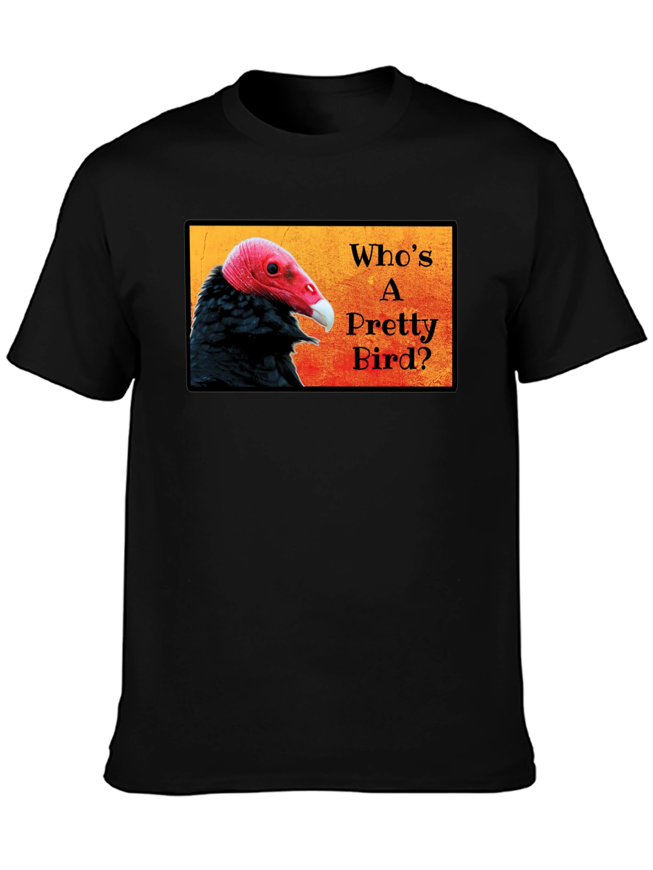 Black Who's a Pretty Bird? Vulture Graphic T-Shirt view 3