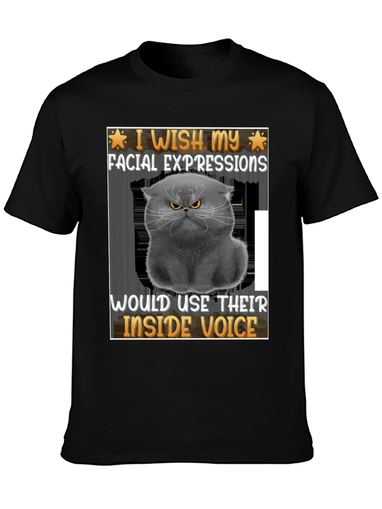 Black Grumpy Cat 'Inside Voice' Graphic Tee view 3