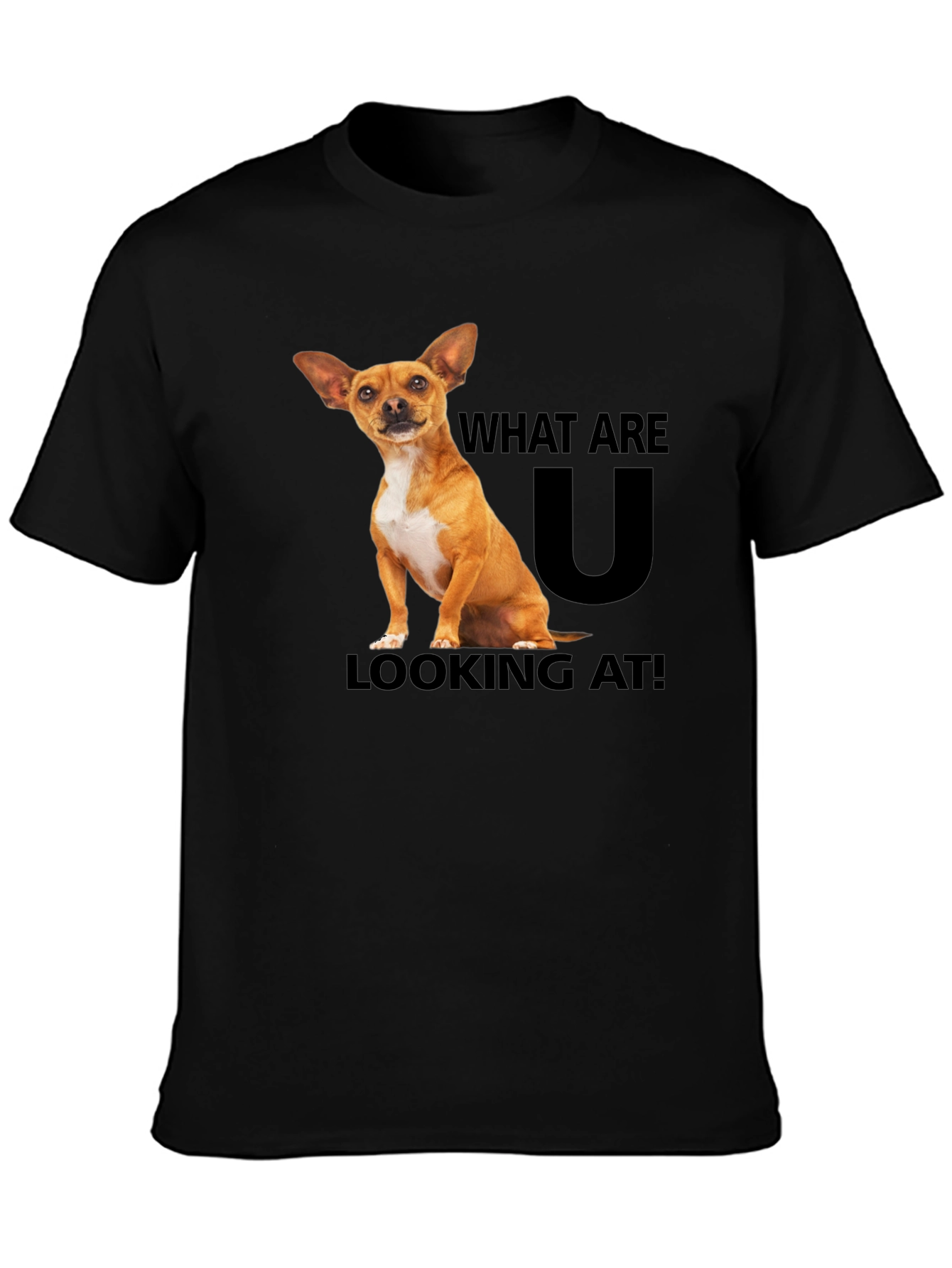 Black Dog T-Shirt: What Are You Looking At? view 3