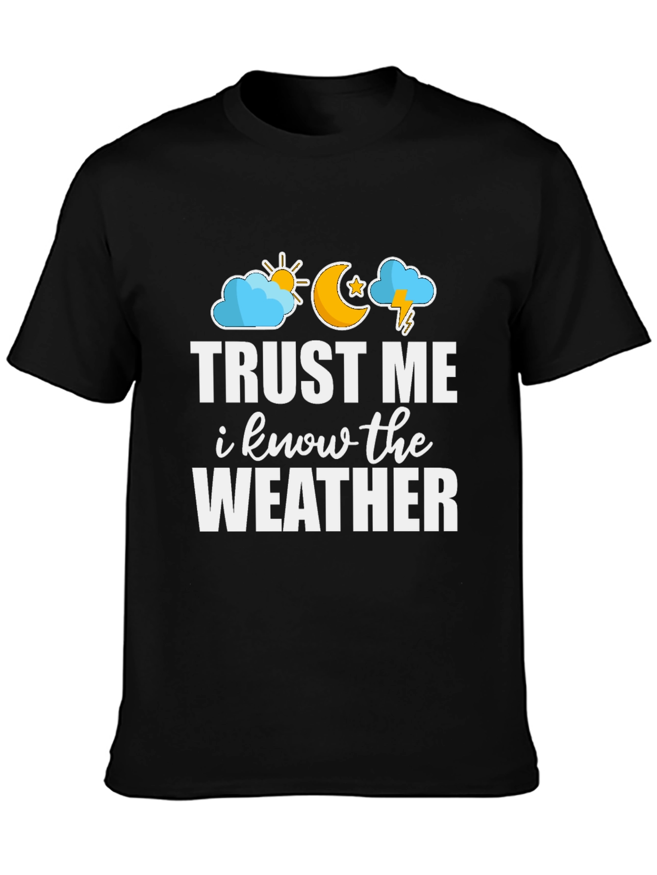Black Trust Me I Know The Weather Graphic Tee view 3