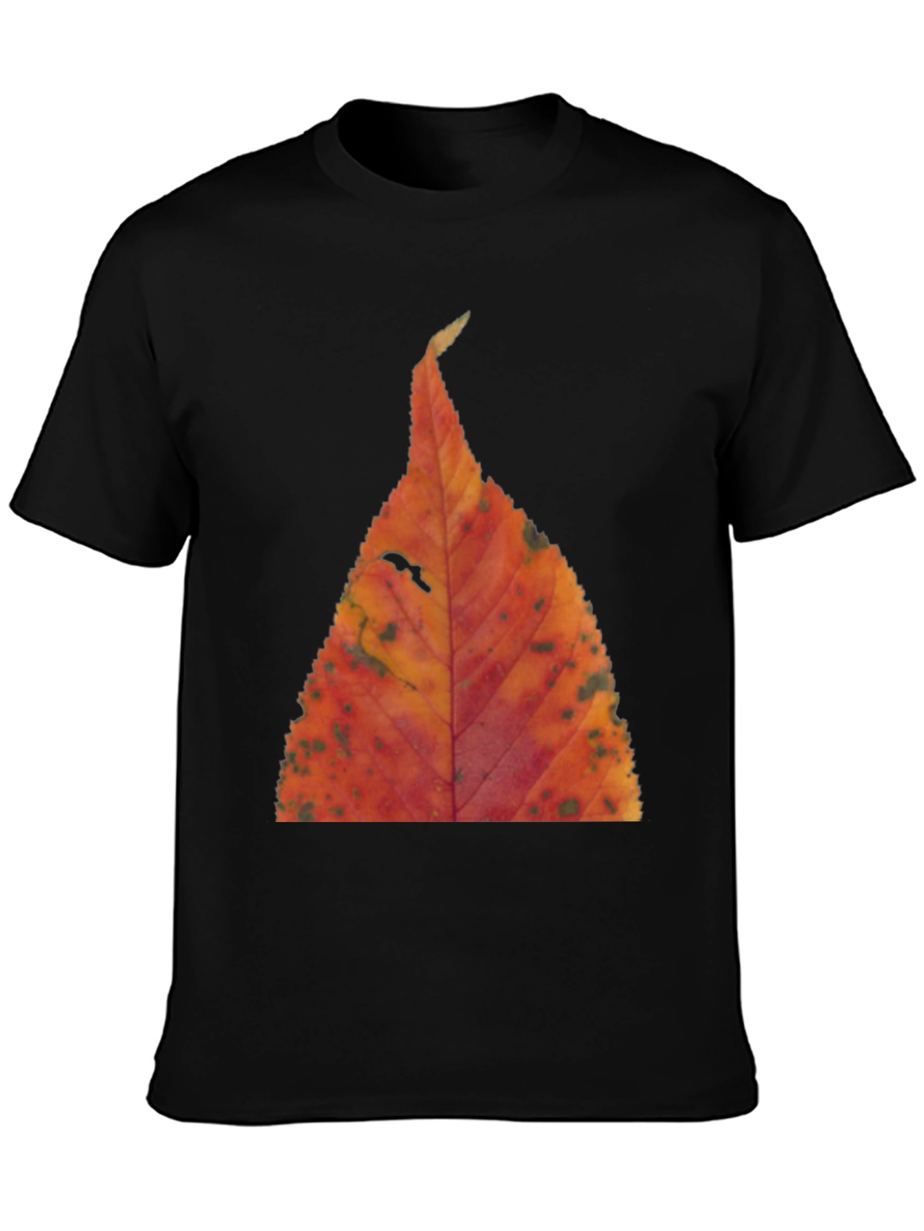 Black Fall Leaf Print Black T-Shirt view 3