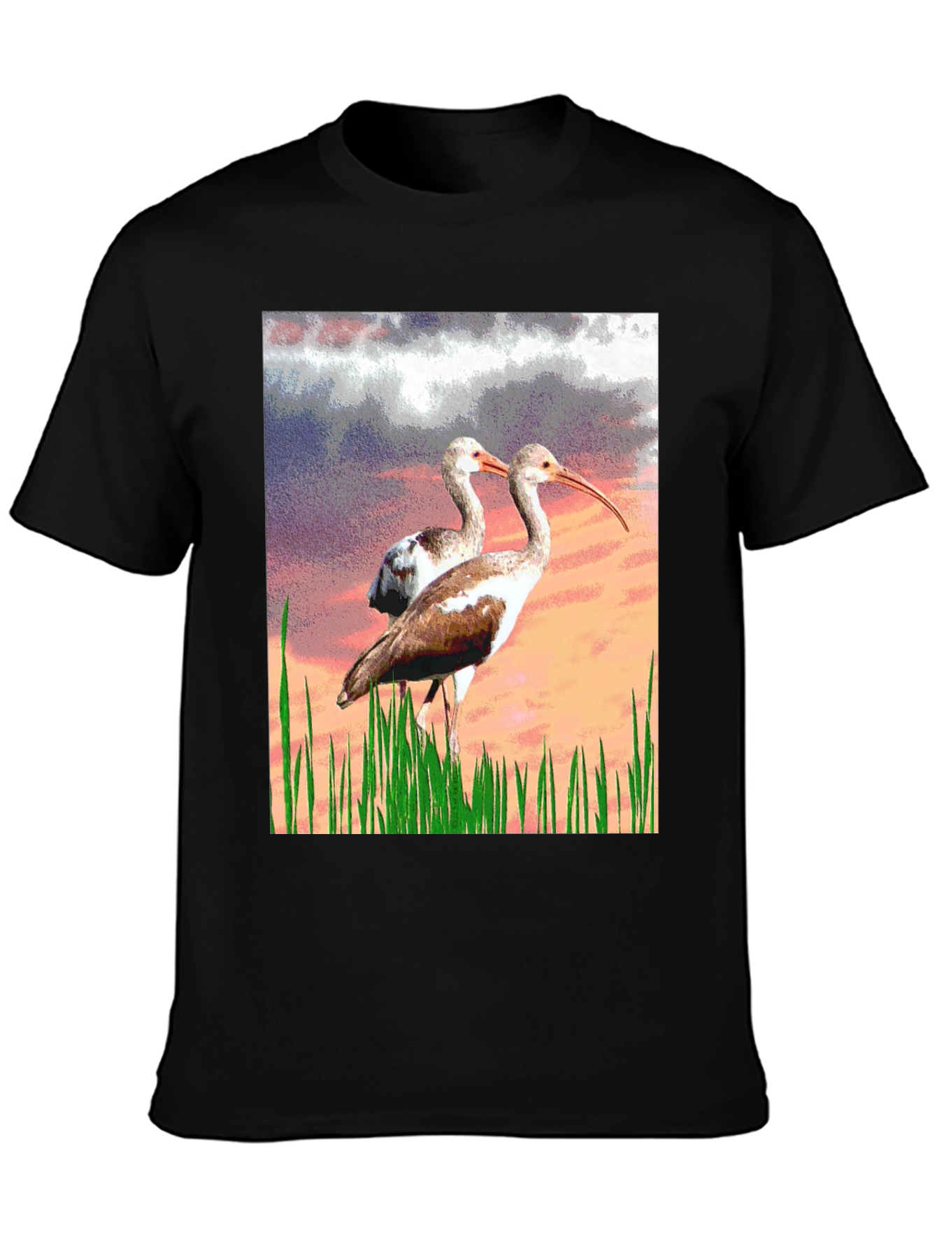 Black Ibis Bird Graphic Print Black T-Shirt view 3