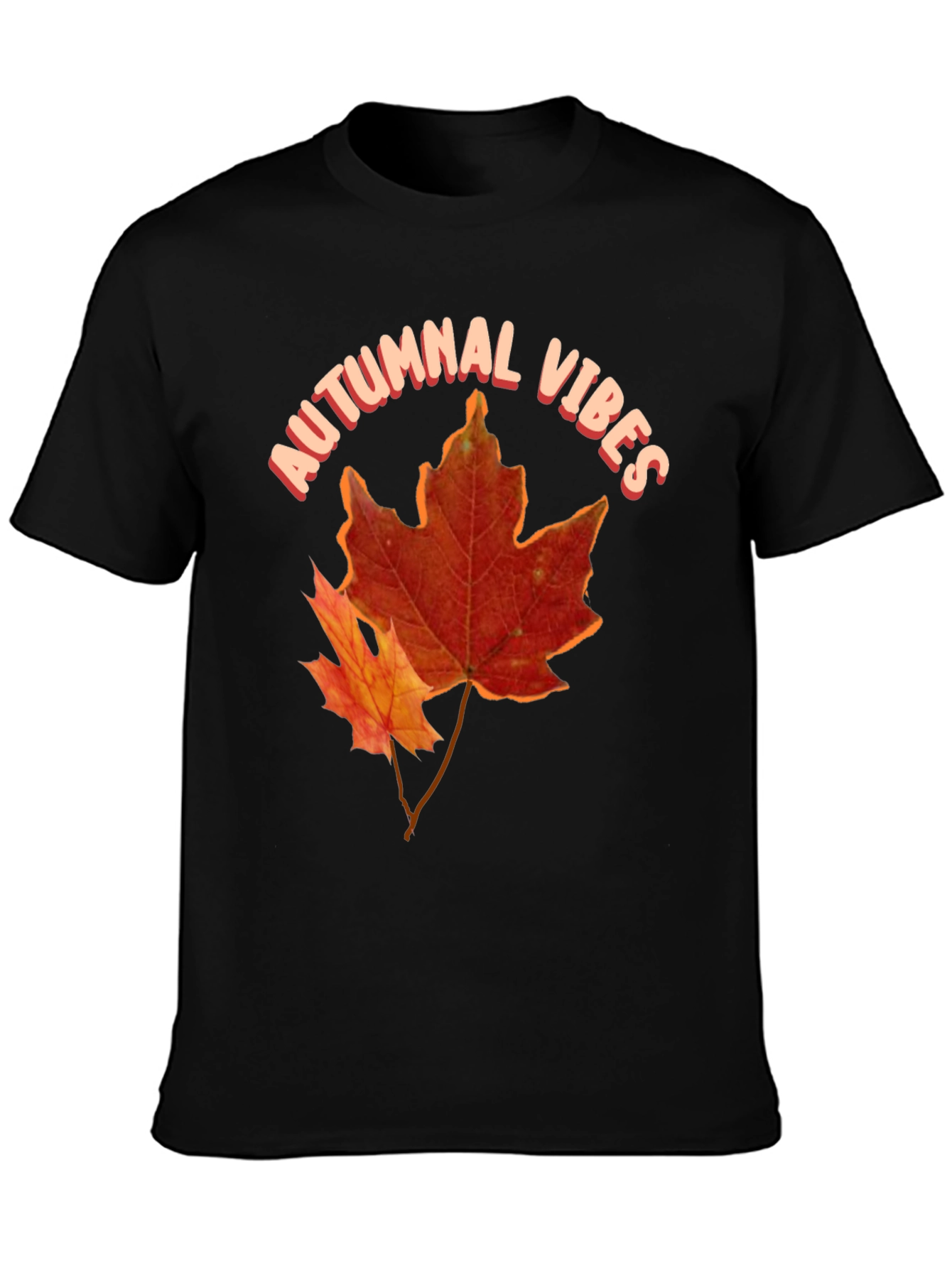 Black Autumnal Vibes Graphic Tee view 3