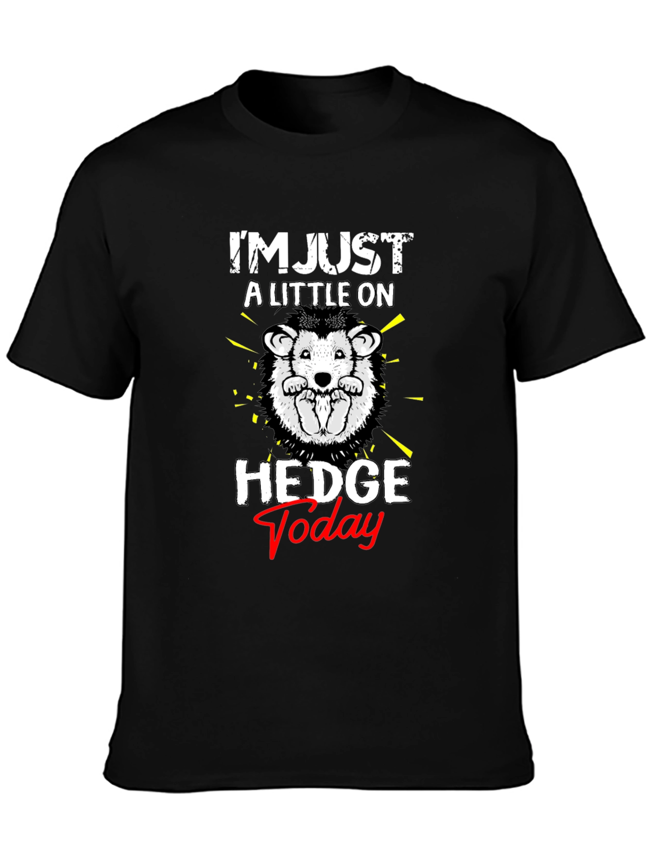 Black Hedgehog 'Hedge Today' Graphic T-Shirt view 3