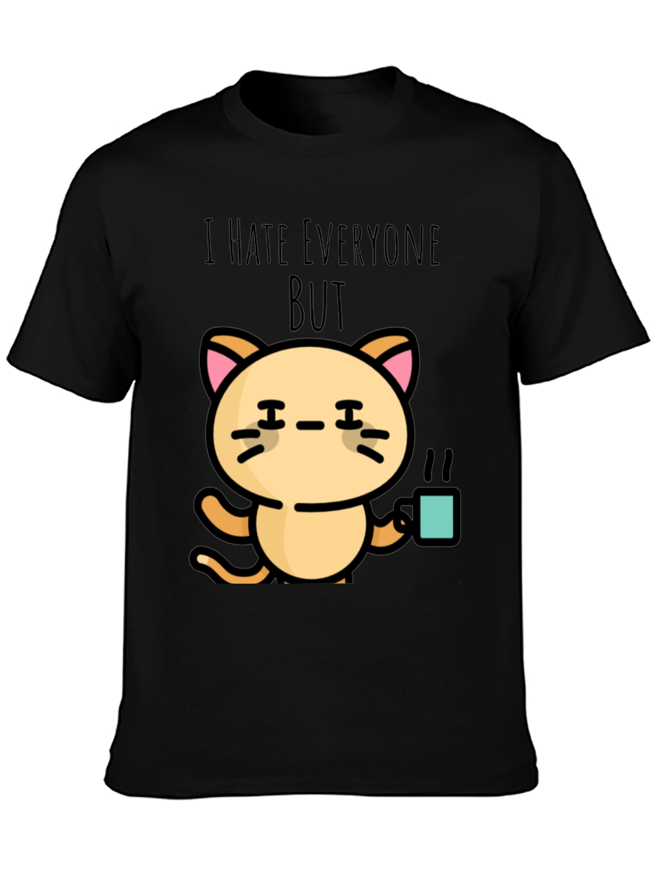 Black I Hate Everyone But Cat T-Shirt view 3