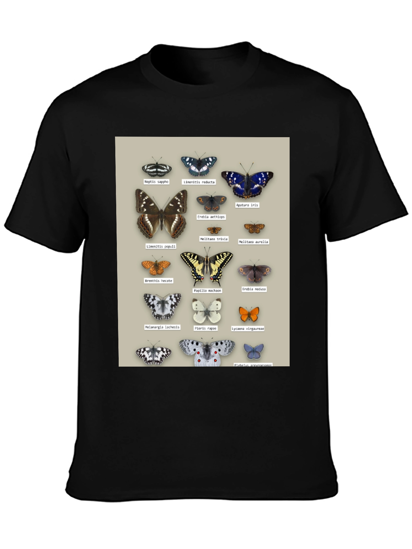 Black Butterfly Print T-Shirt | Nature Lover Apparel view 3