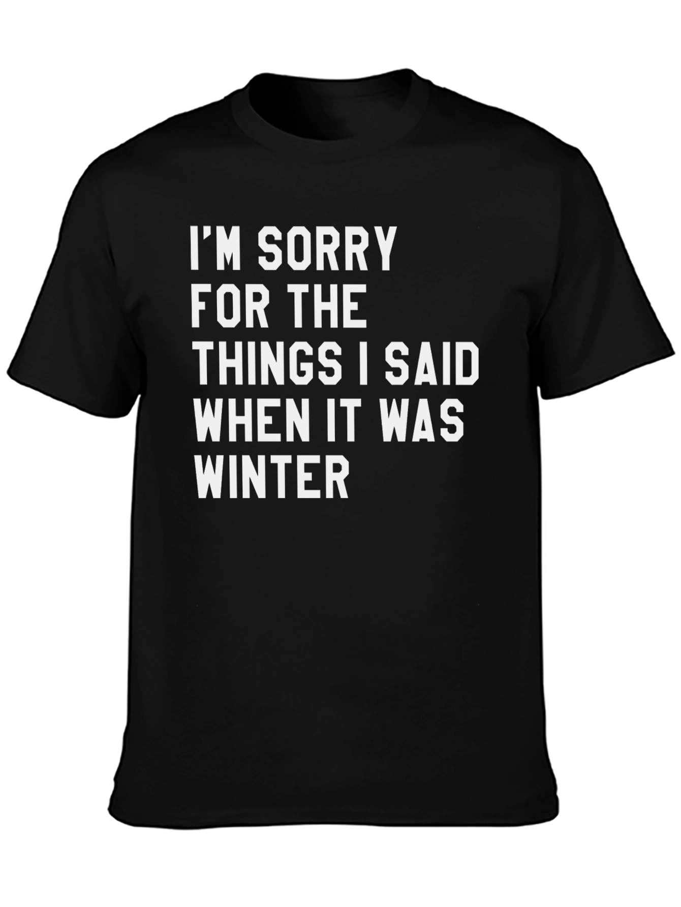 Black Funny Winter Apology T-Shirt view 3