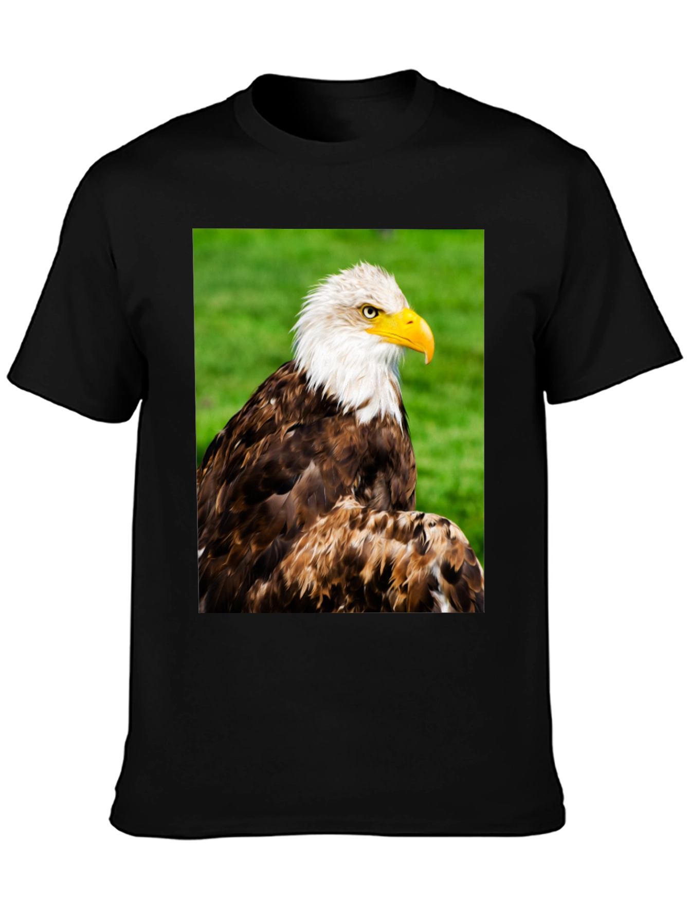 Black Bald Eagle Graphic T-Shirt view 3