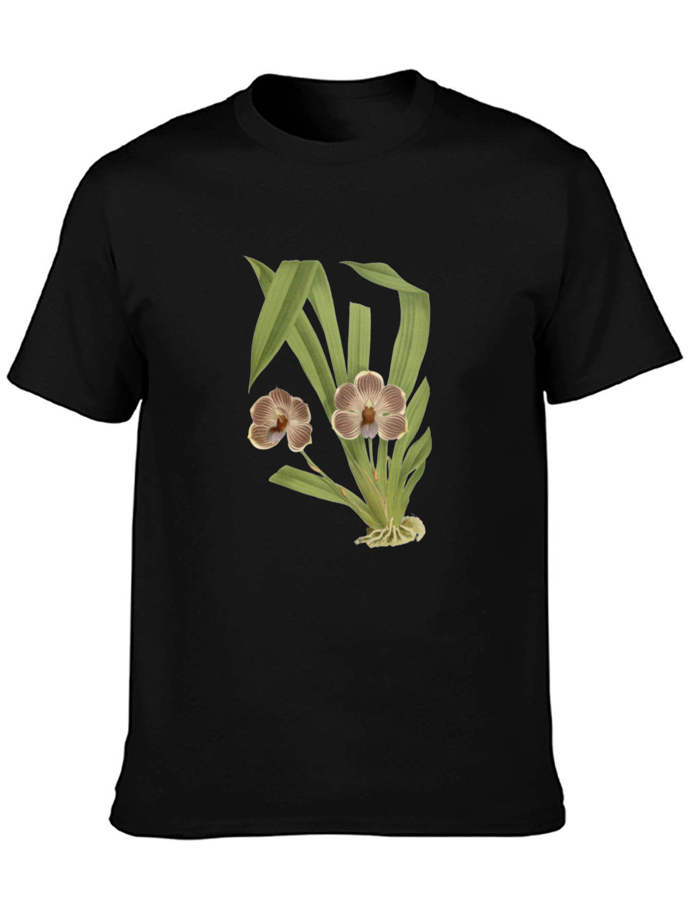 Black Floral Print T-Shirt - Botanical Style view 3