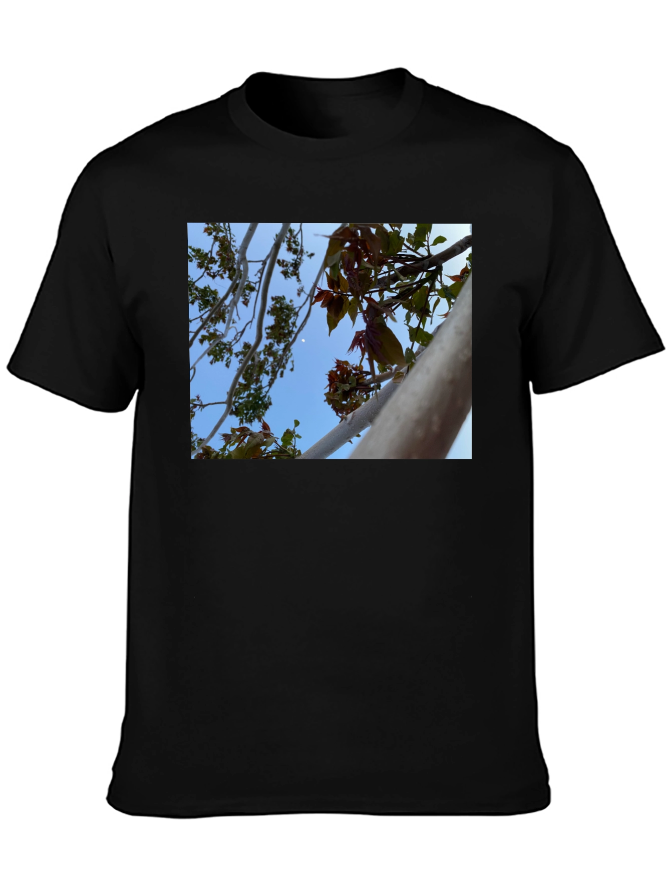 Black Nature View T-Shirt - Branches & Sky Design view 3