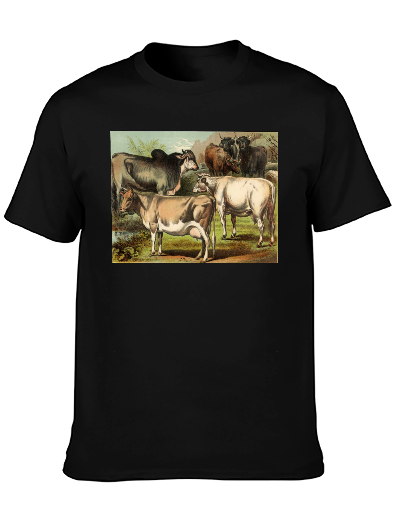Black Vintage Cows Graphic Black T-Shirt view 3