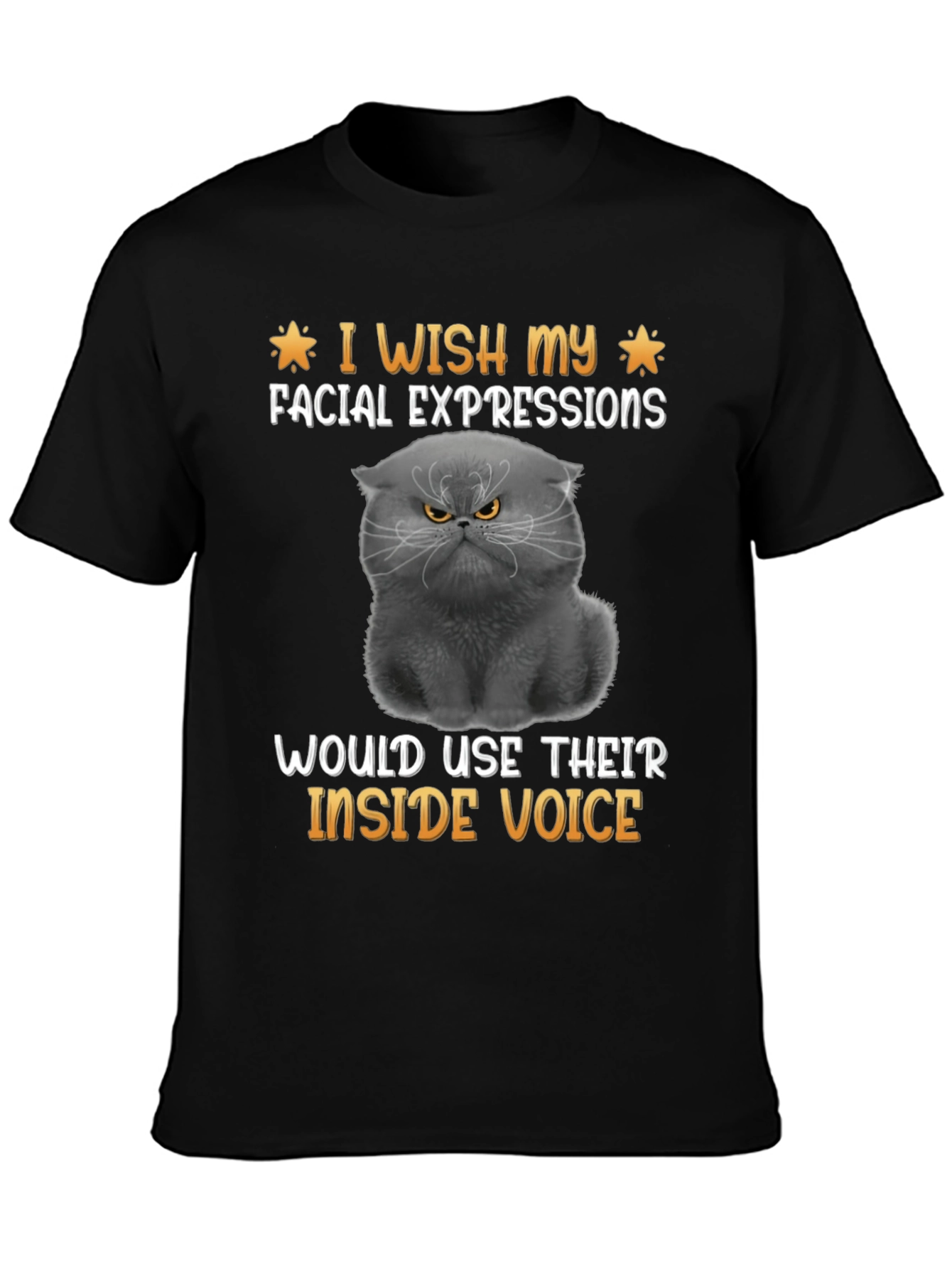 Black Grumpy Cat Inside Voice T-Shirt view 3